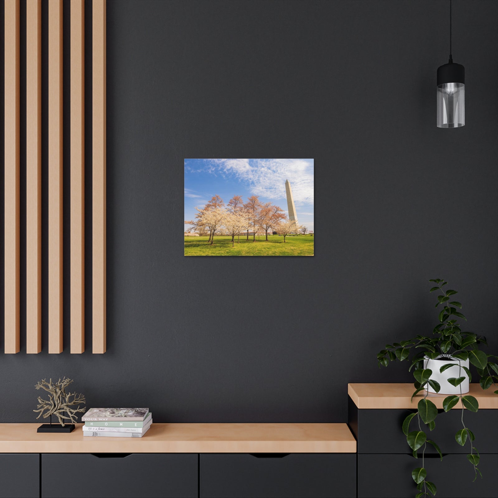 Pink Tree Cherry Blossom Festival at The National Mall Washington Modern Multicolor Scenic Nature Photography Canvas Home Office Decor Ready to Hang-Express Your Love Gifts