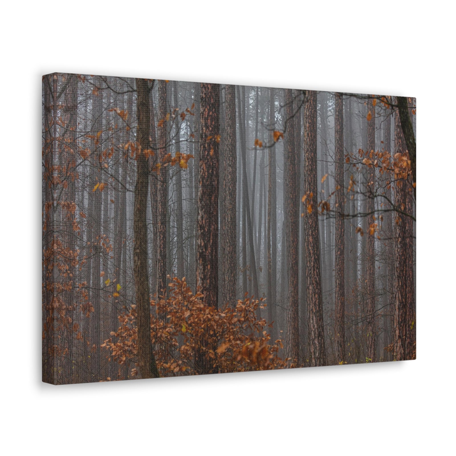 Autumn Forest Misty Orange Leave Nature Wilderness Photography Canvas Wall Art for Home Decor Ready-to-Hang-Express Your Love Gifts