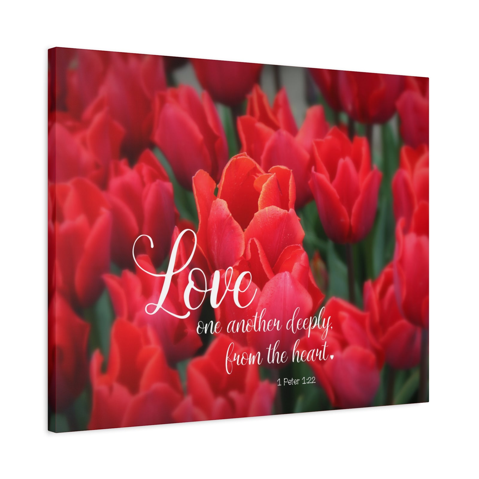Scripture Canvas From The Heart 1 Peter 1:22 Christian Wall Art Bible Verse Print Ready to Hang-Express Your Love Gifts