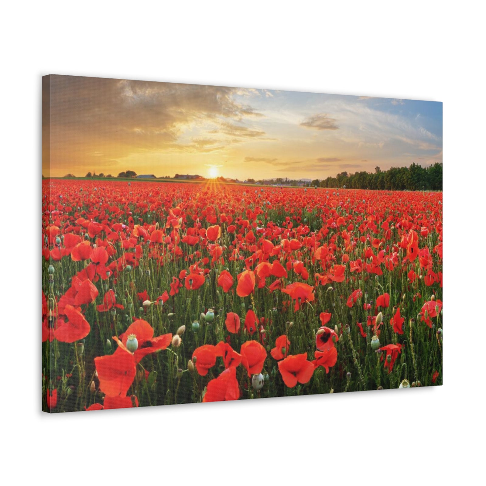 Sunset Over Poppy Field Flower Canvas Wall Art for Home Decor Ready-to-Hang-Express Your Love Gifts