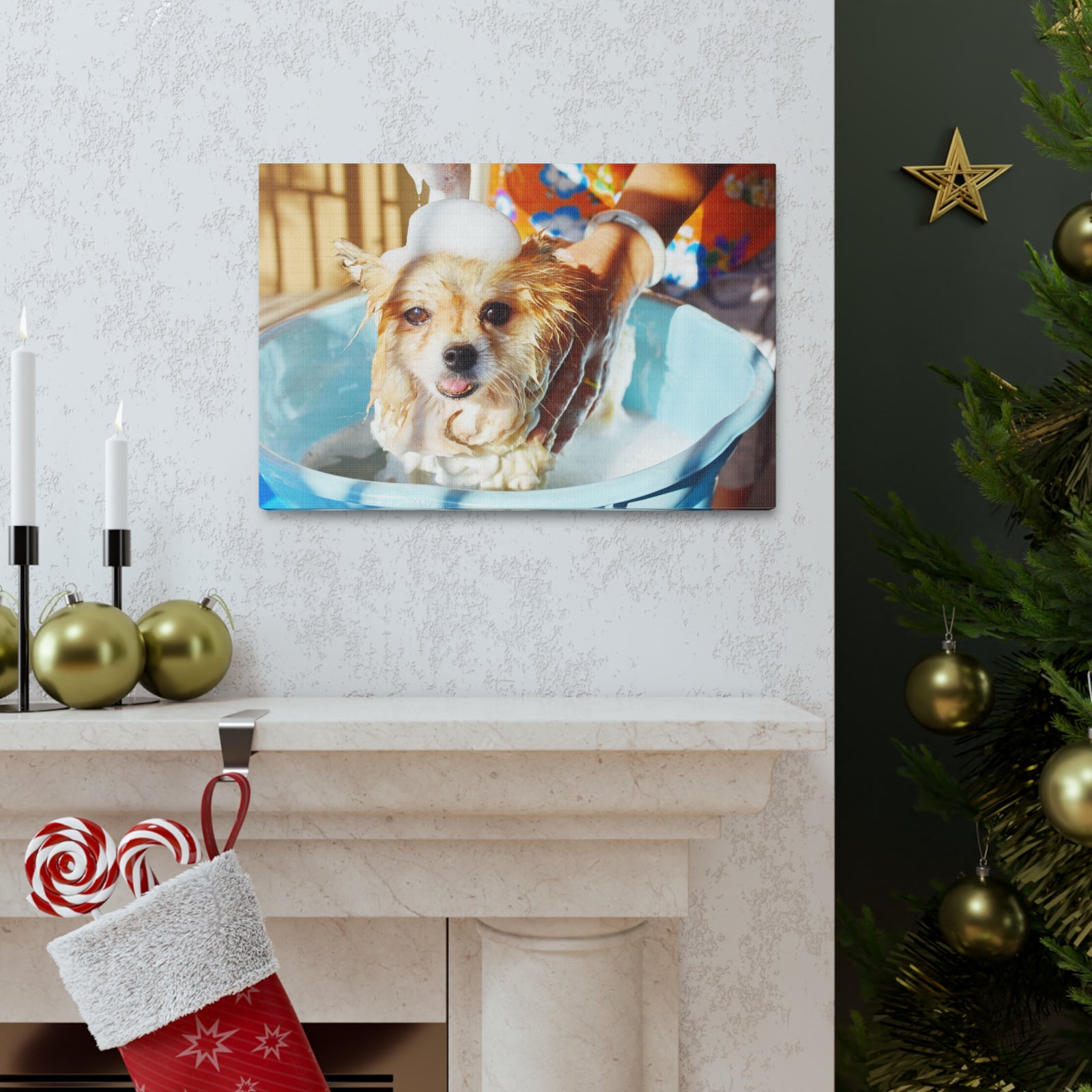 Cute Pomeranian Bathee Canvas Wall Art for Home Decor Ready-to-Hang-Express Your Love Gifts