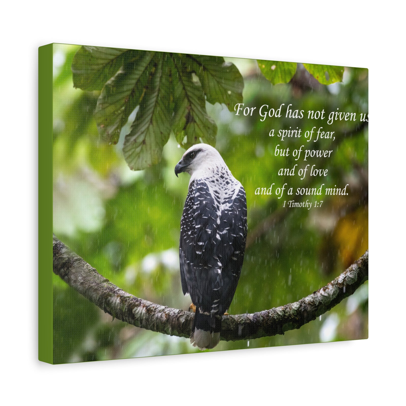 Scripture Canvas A Sound Mind 1 Timothy 1:7 Christian Wall Art Bible Verse Print Ready to Hang-Express Your Love Gifts