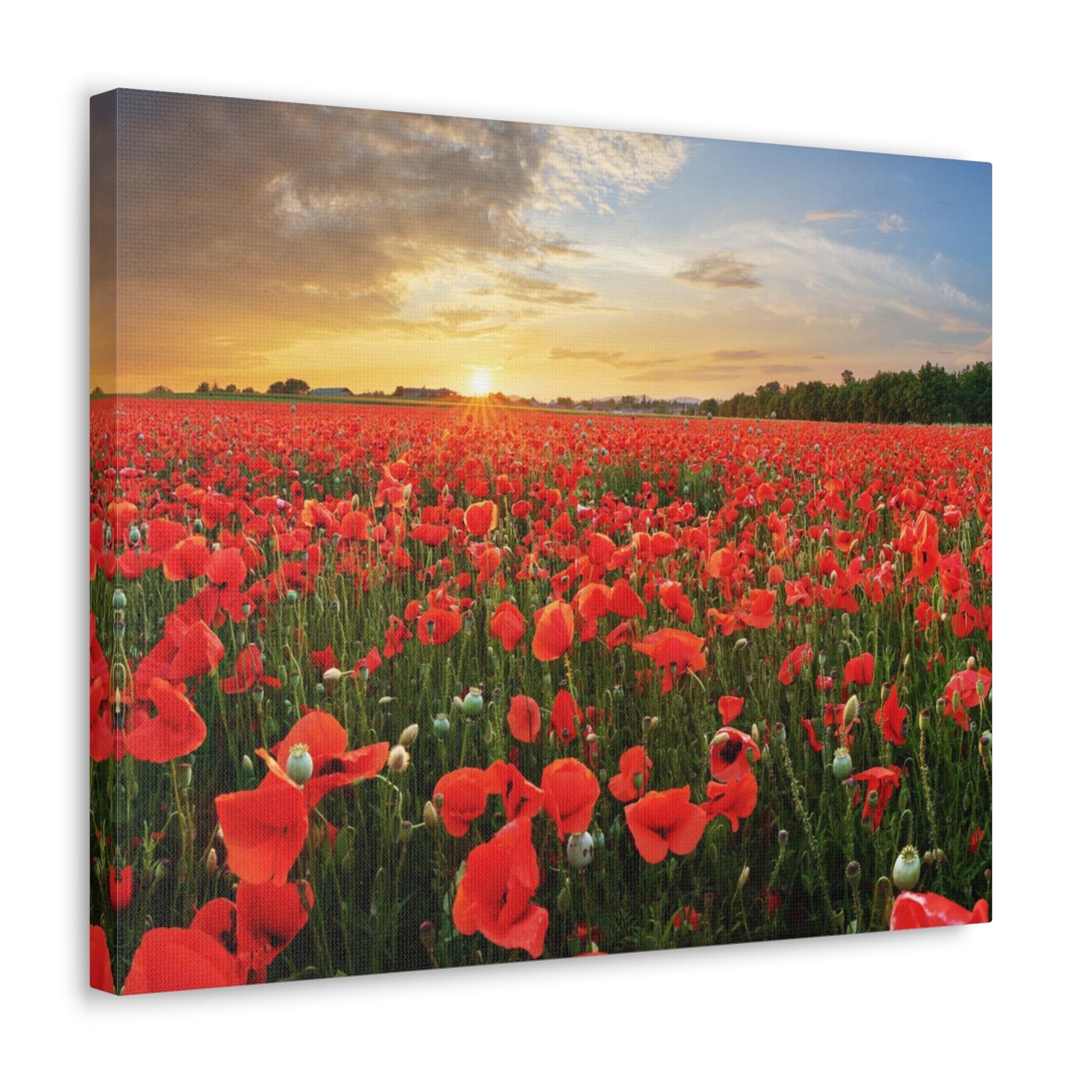 Sunset Over Poppy Field Flower Canvas Wall Art for Home Decor Ready-to-Hang-Express Your Love Gifts