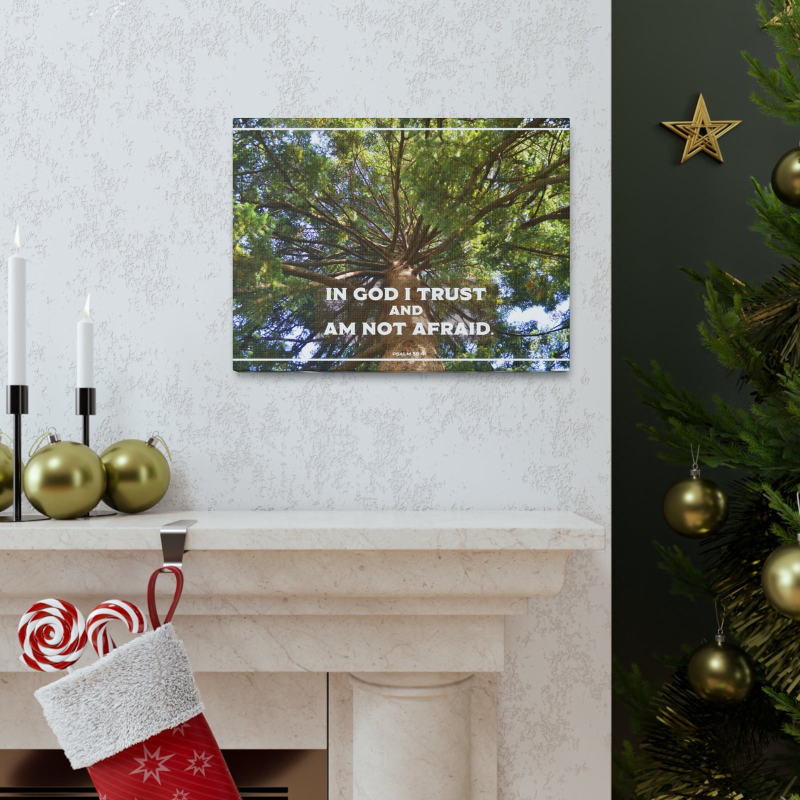 Scripture Walls In God I Trust Psalm 56:4 Bible Verse Canvas Christian Wall Art Ready to Hang-Express Your Love Gifts