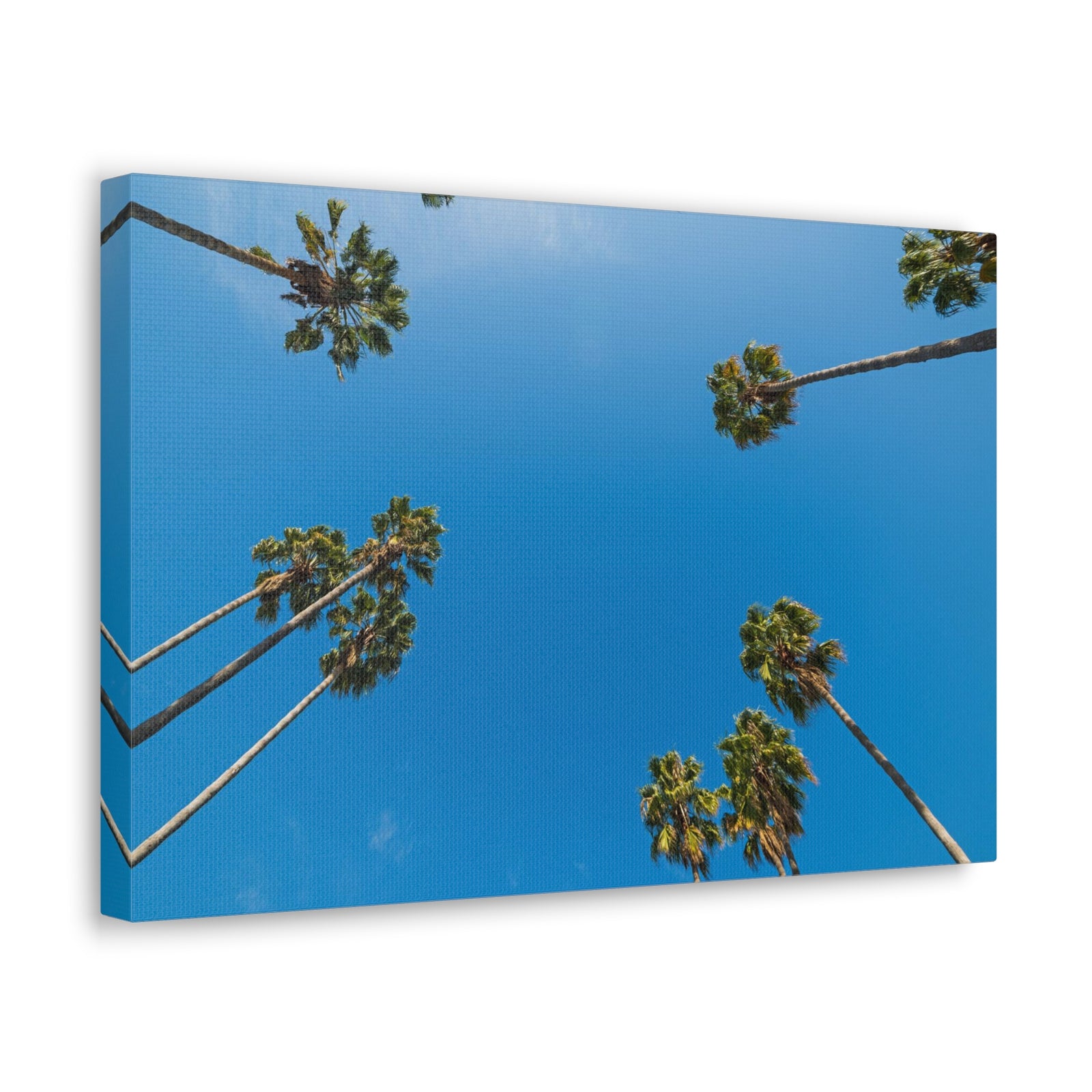 Palm Trees Los Angeles Modern Multicolor Scenic Nature Photography Canvas Home Office Decor Ready to Hang-Express Your Love Gifts