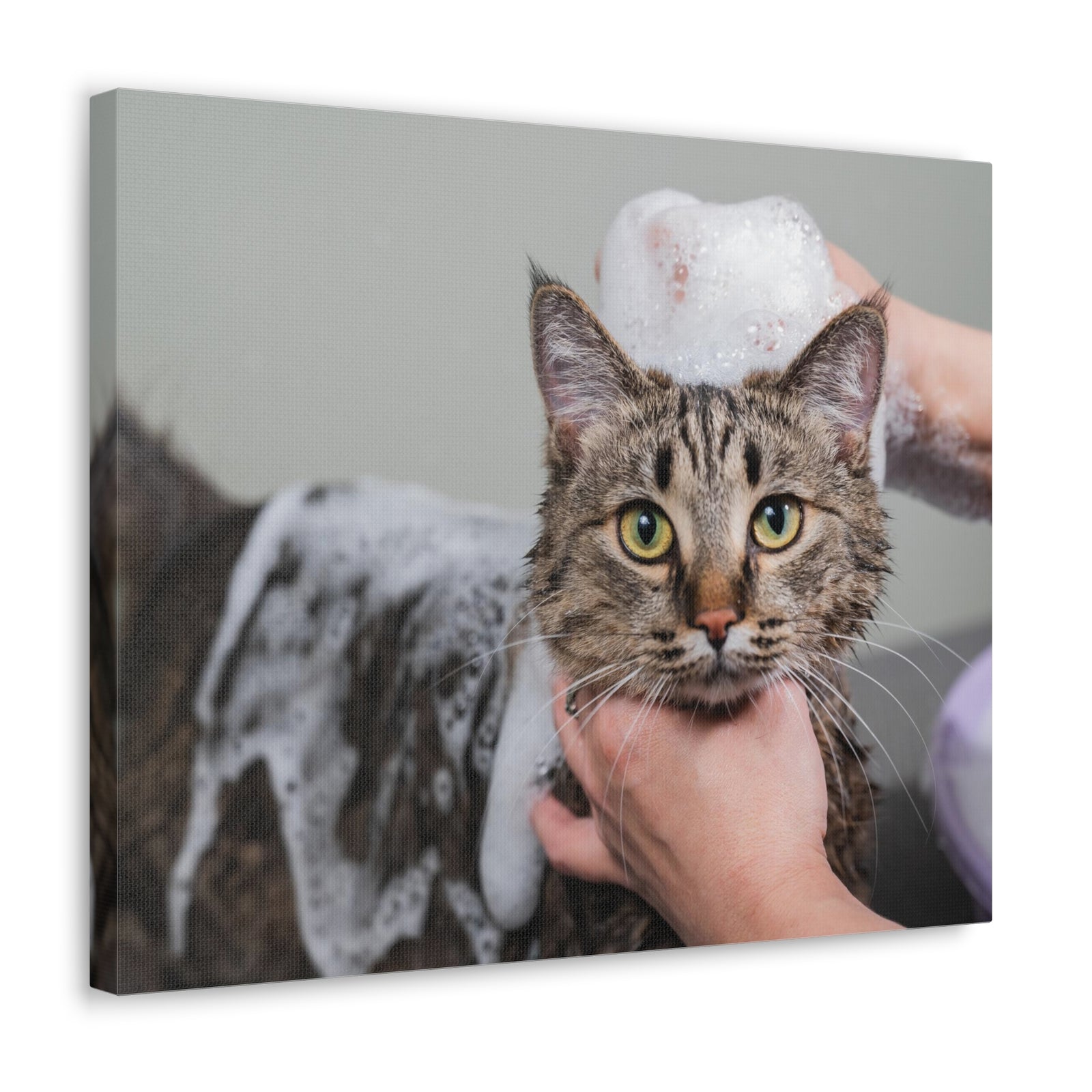 Cute Tabby Gray Cat Bathee Canvas Wall Art for Home Decor Ready-to-Hang-Express Your Love Gifts