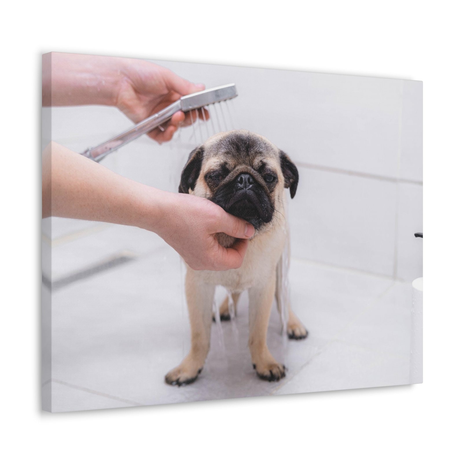 Cute Pug Bathee Canvas Wall Art for Home Decor Ready-to-Hang-Express Your Love Gifts