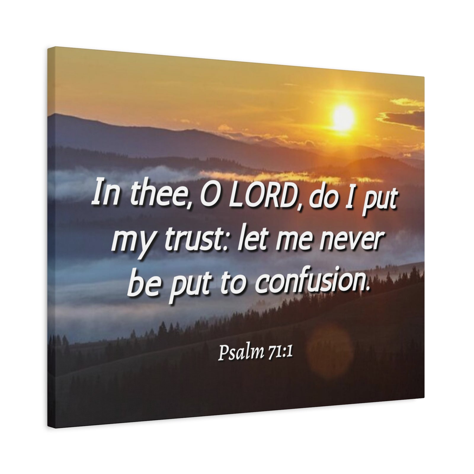 Scripture Canvas Confusion Psalm 71:1 Christian Wall Art Bible Verse Print Ready to Hang-Express Your Love Gifts