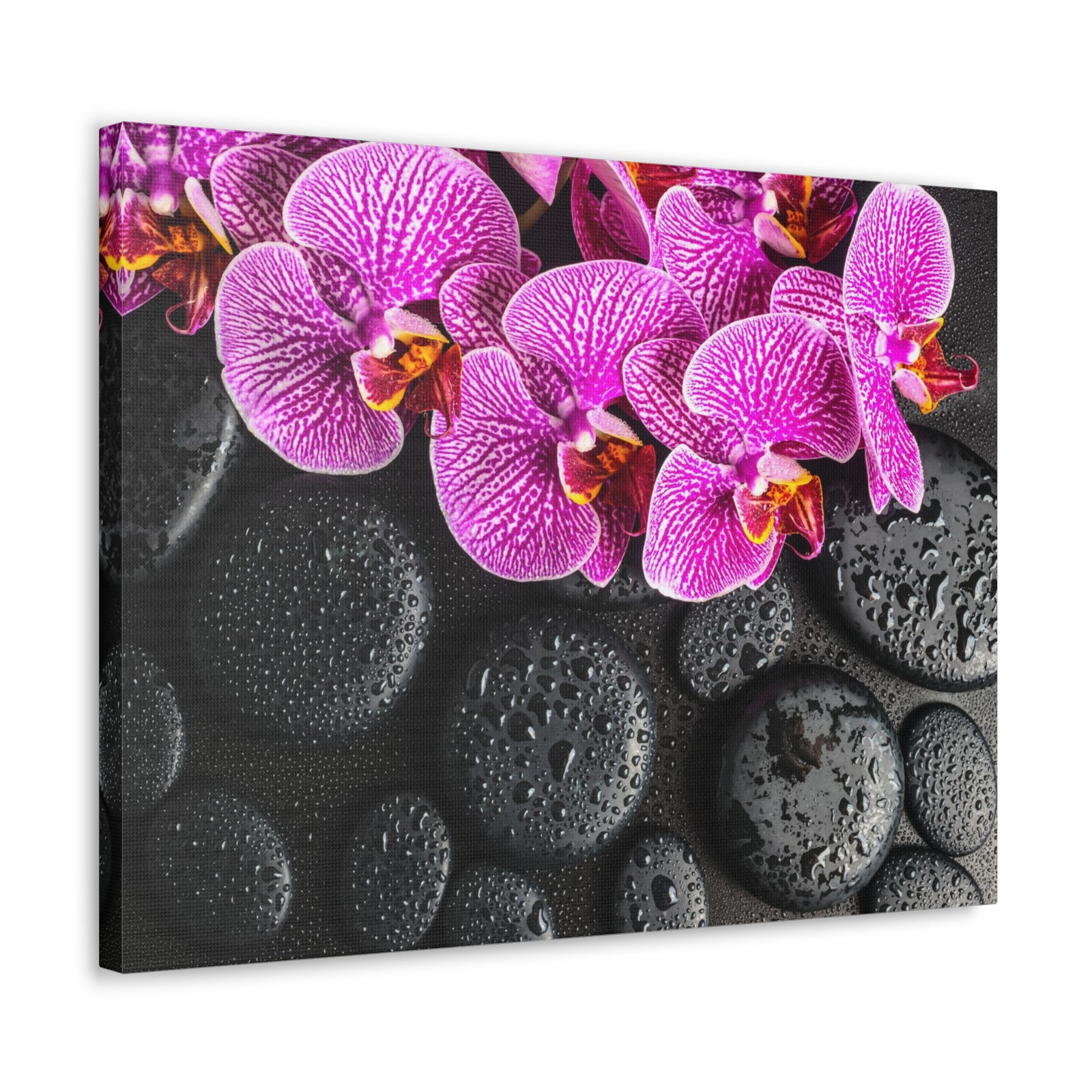 Violet Orchid on Stones Forest Floral Nature Photography Canvas Wall Art for Home Decor Ready-to-Hang-Express Your Love Gifts
