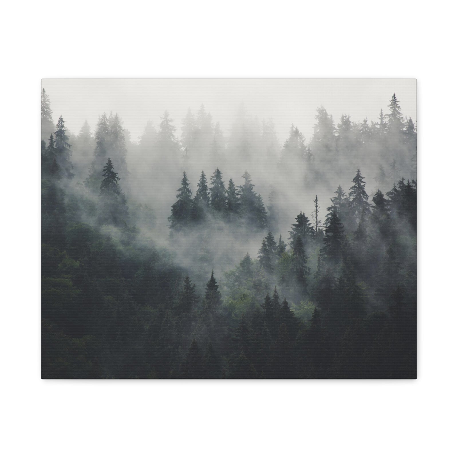 Misty Pine Tree Green Forest Nature Wilderness Photography Canvas Wall Art for Home Decor Ready-to-Hang-Express Your Love Gifts