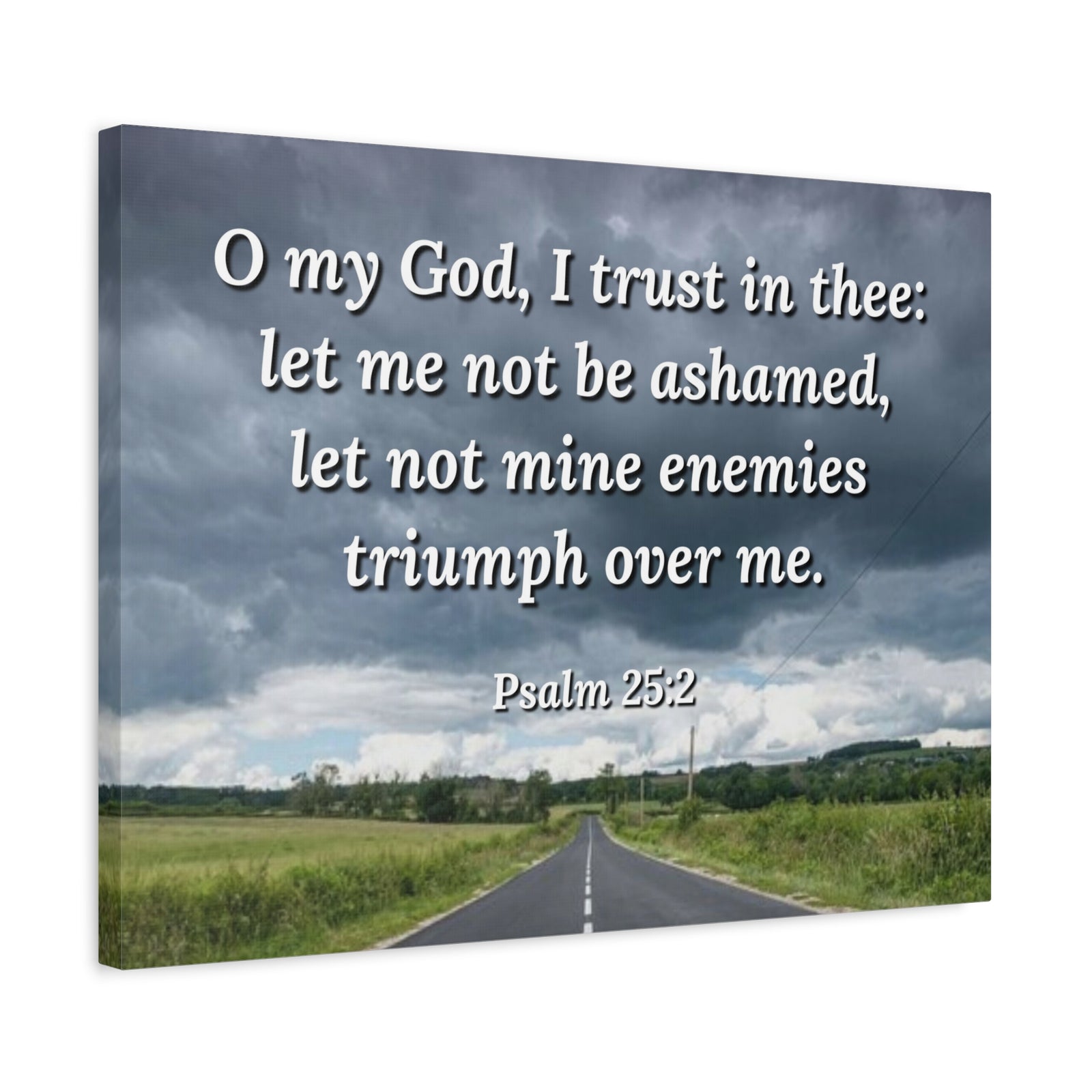 Scripture Canvas Triumph Psalm 25:2 Christian Wall Art Bible Verse Print Ready to Hang-Express Your Love Gifts