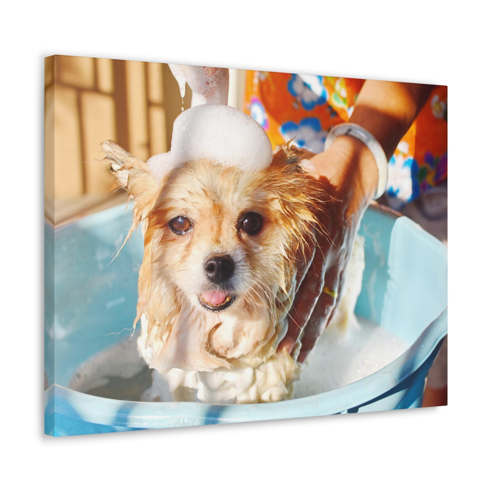 Cute Pomeranian Bathee Canvas Wall Art for Home Decor Ready-to-Hang-Express Your Love Gifts