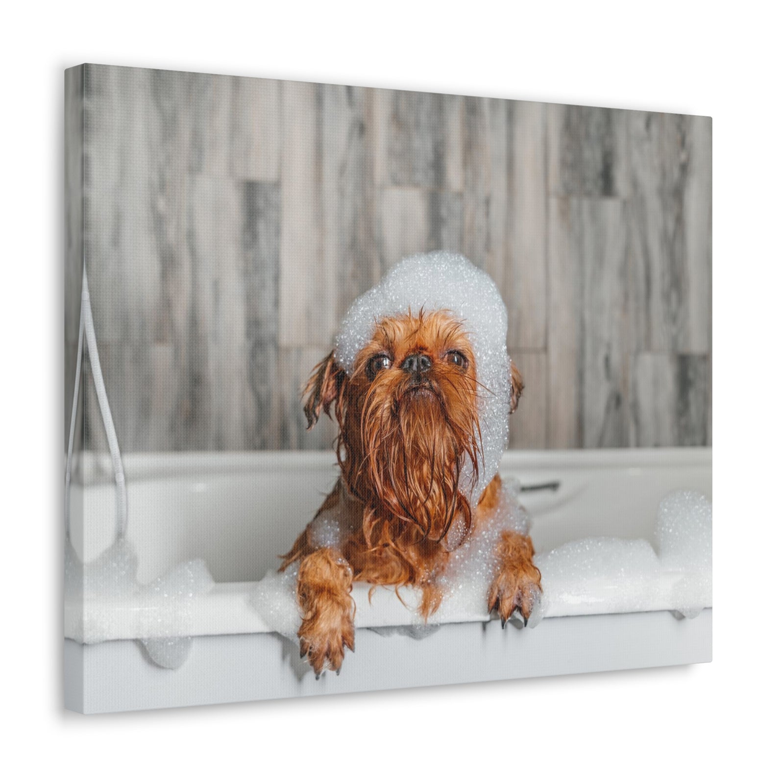 Cute Little Griffon Bathee Canvas Wall Art for Home Decor Ready-to-Hang-Express Your Love Gifts