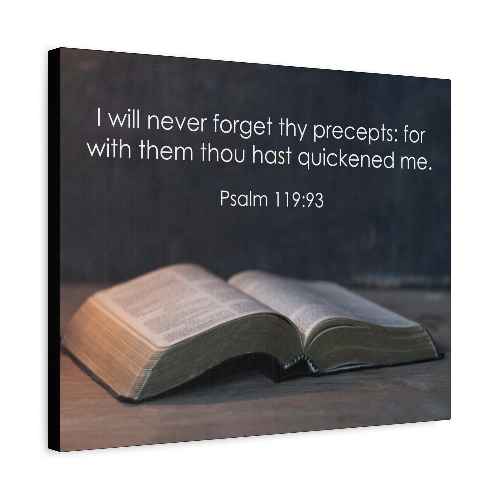 Bible Verse Canvas Never Forget Thy Precepts Psalm 119:93 Christian Home Décor Wall Art Scripture Ready to Hang Faith Print-Express Your Love Gifts