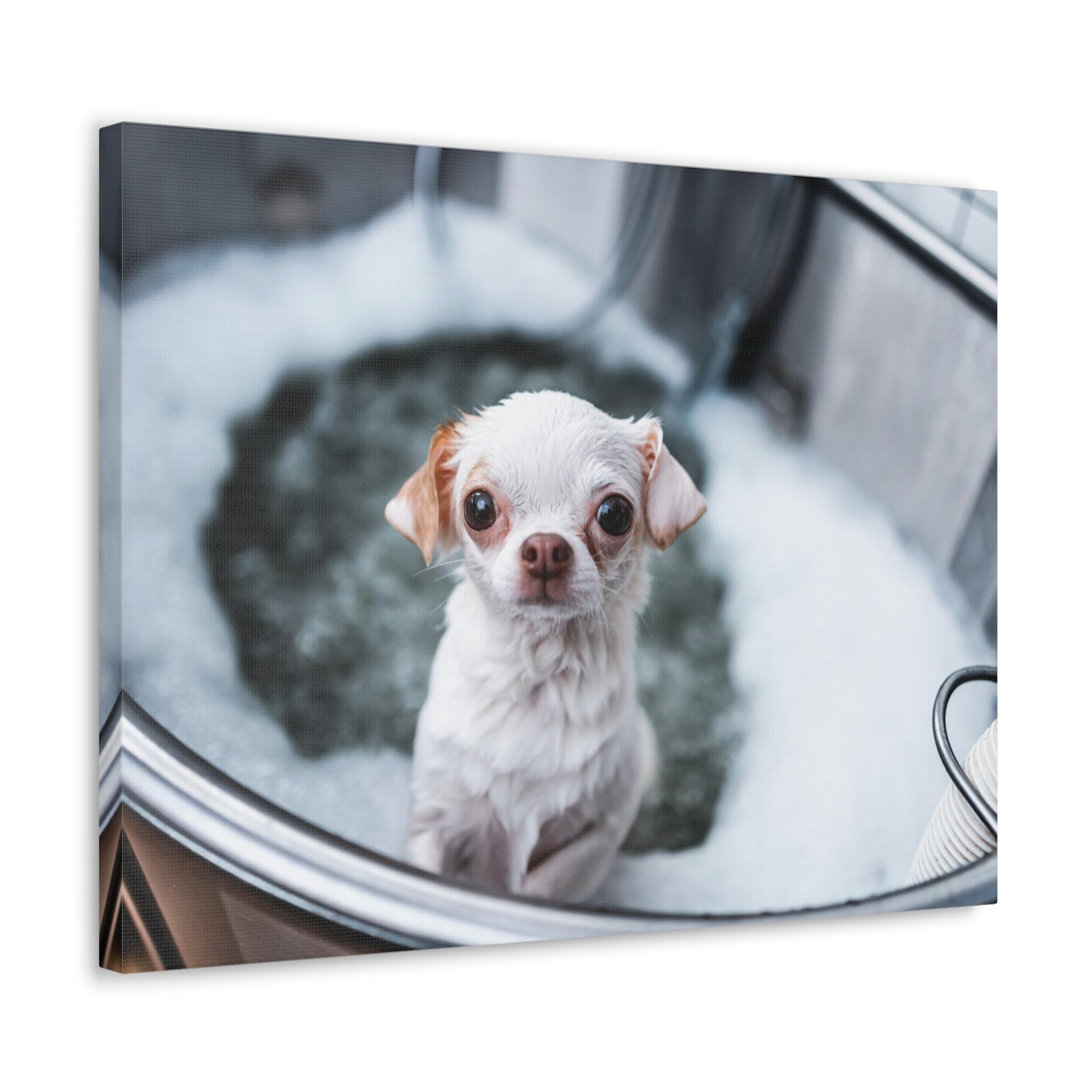 Cute Chihuahua Bathee Canvas Wall Art for Home Decor Ready-to-Hang-Express Your Love Gifts