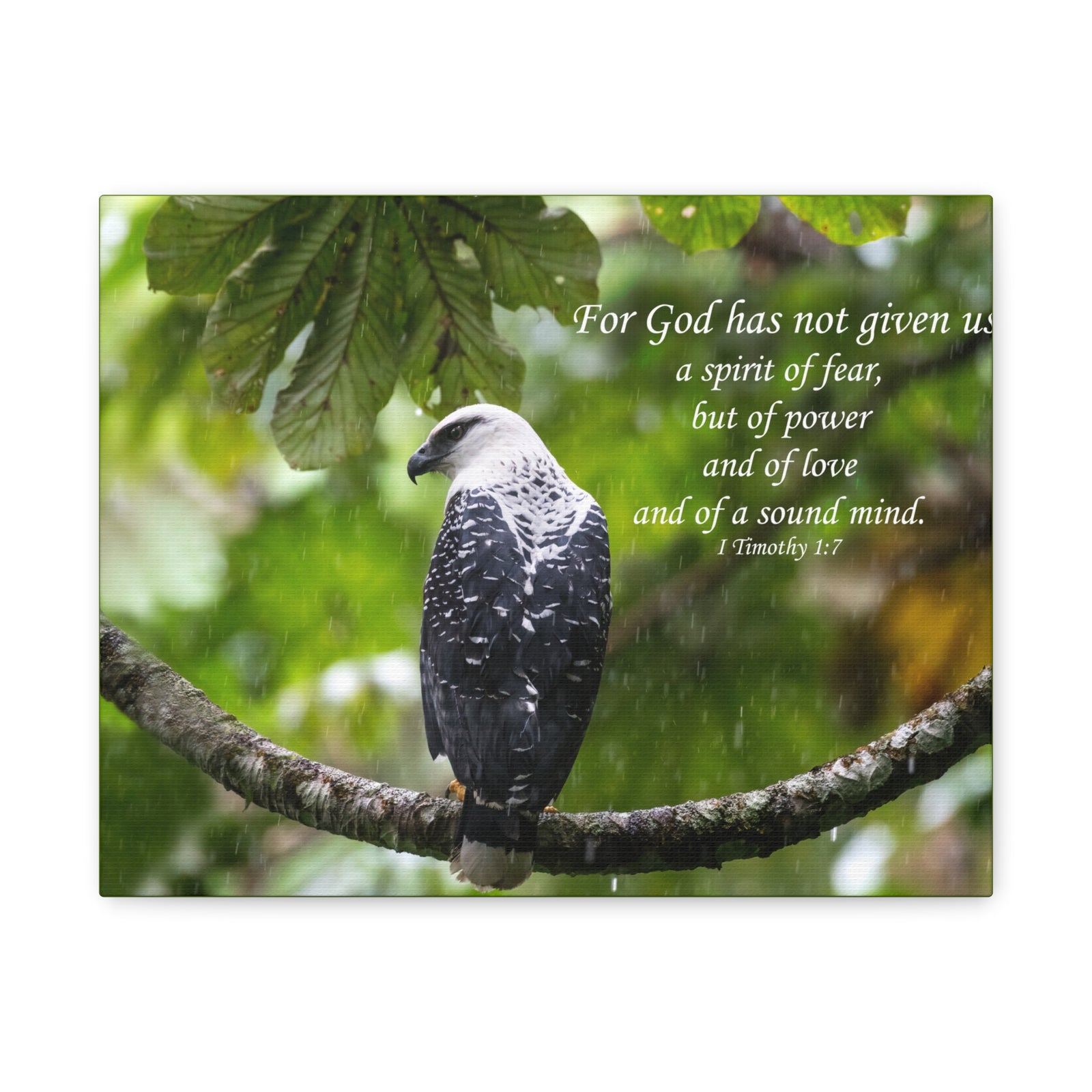 Scripture Canvas A Sound Mind 1 Timothy 1:7 Christian Wall Art Bible Verse Print Ready to Hang-Express Your Love Gifts