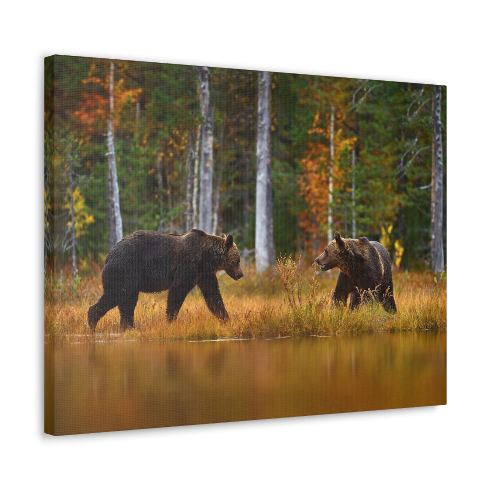 Spring Forest Bears Nature Wilderness Photography Canvas Wall Art for Home Decor Ready-to-Hang-Express Your Love Gifts