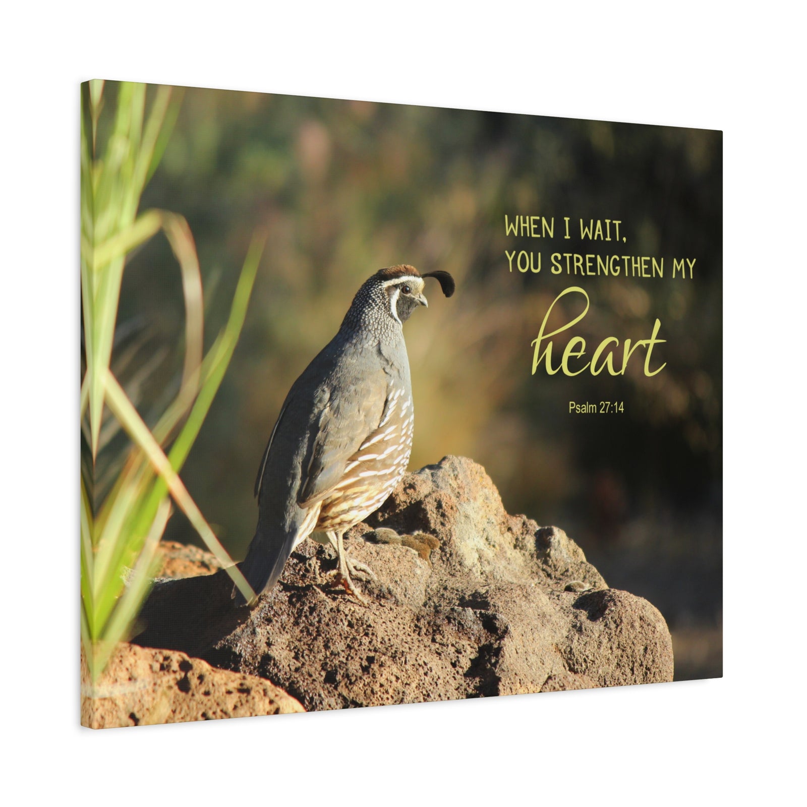 Scripture Walls Strengthen My Heart Psalm 27:14 Bird Bible Verse Canvas Christian Wall Art Ready to Hang-Express Your Love Gifts