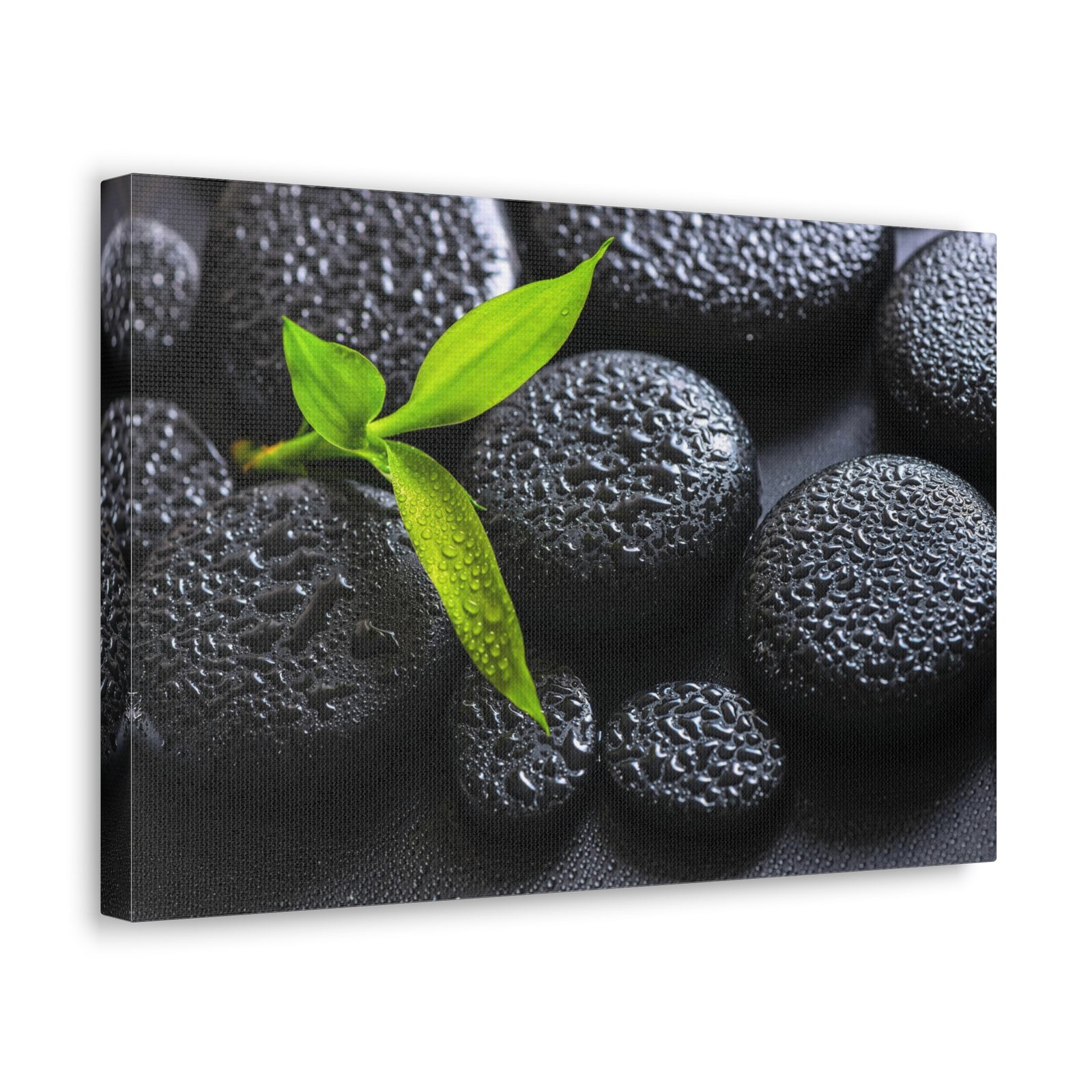 Green Branch Bamboo Forest Floral Nature Photography Canvas Wall Art for Home Decor Ready-to-Hang-Express Your Love Gifts