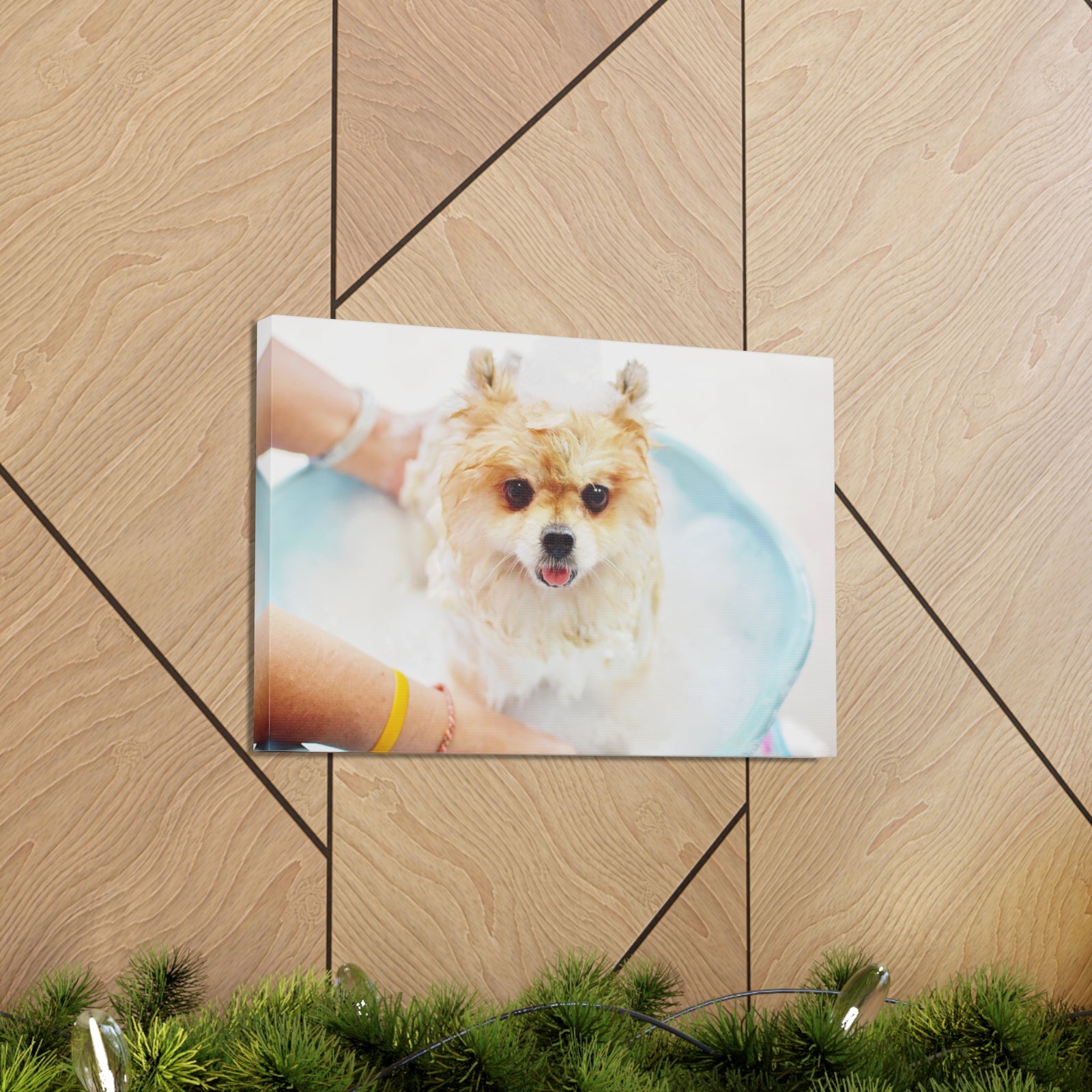 Cute Pomeranian Bath Canvas Wall Art for Home Decor Ready-to-Hang-Express Your Love Gifts