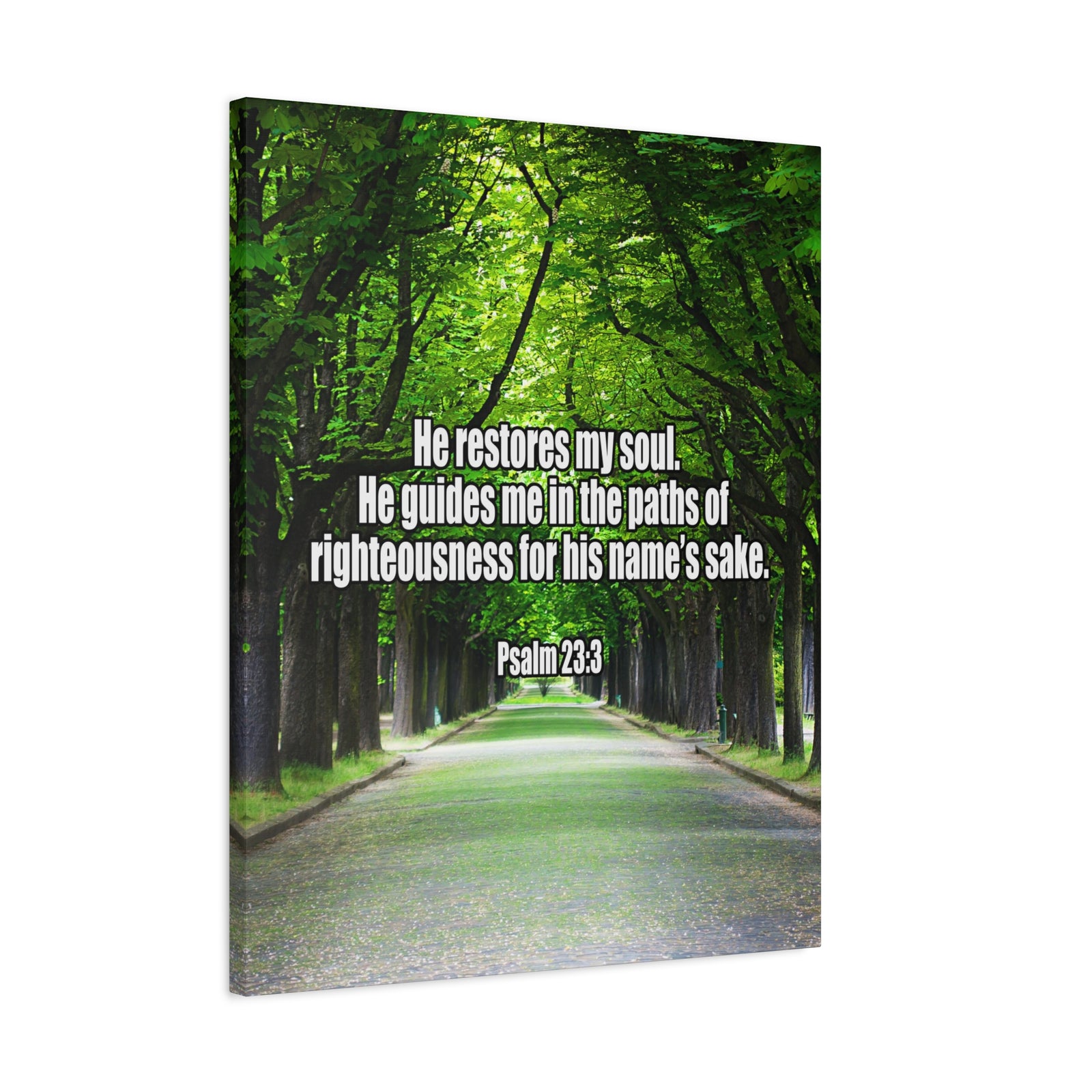 Bible Verse Canvas You Restore My Soul Psalm 23:3 Wall Art Christian Home Decor-Express Your Love Gifts