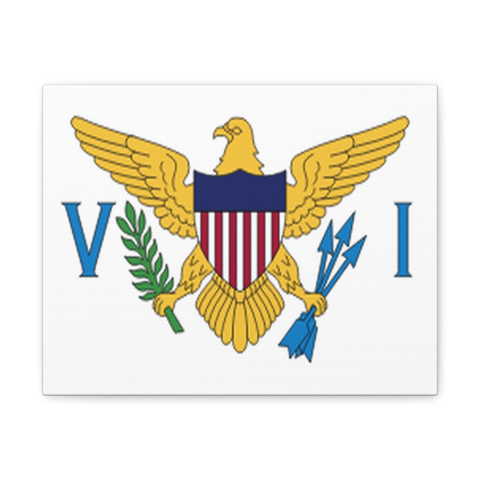United States Virgin Islands Country Flag Canvas Vibrant Wall Art Unframed Home Decor-Express Your Love Gifts