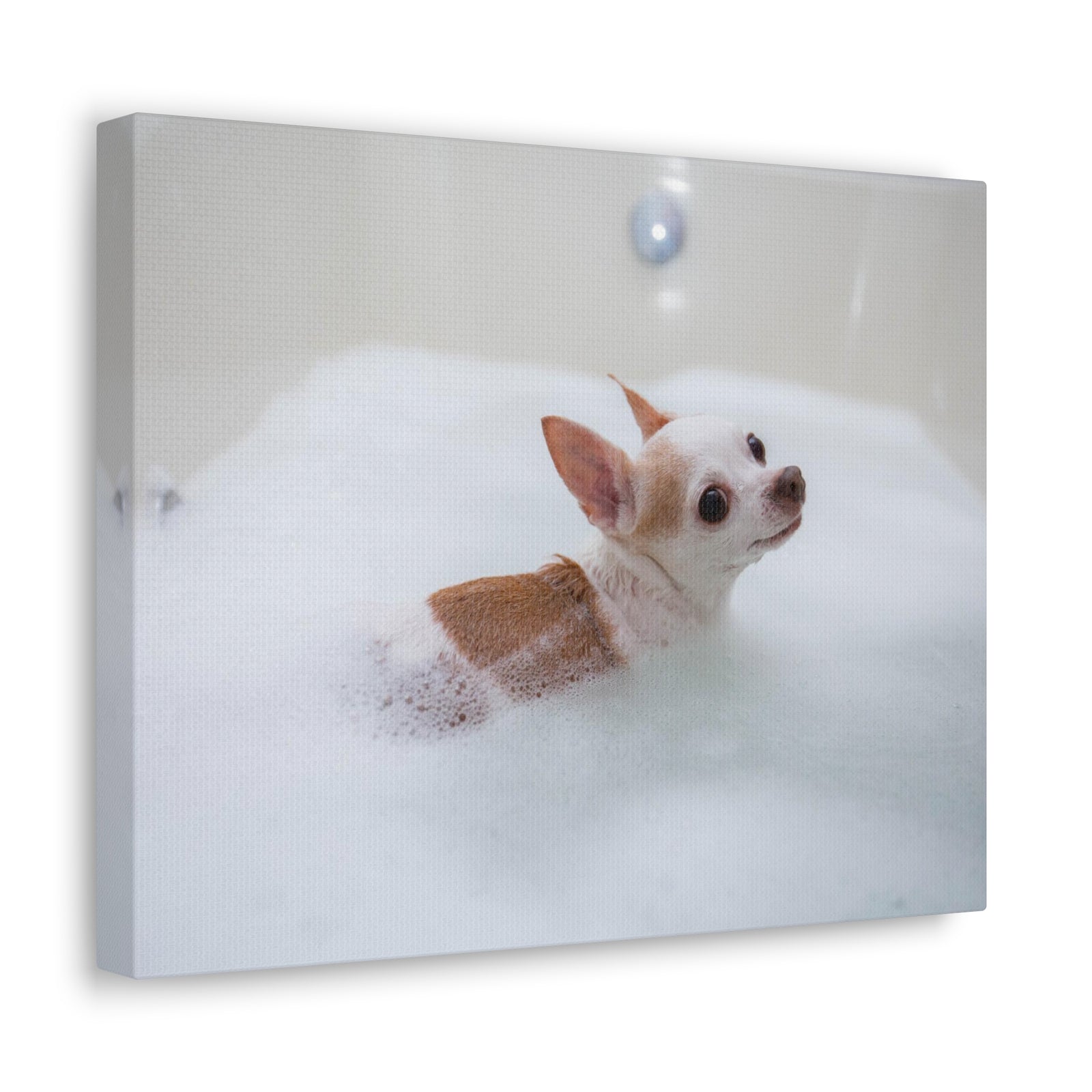 Cute Chihuahua Bathee Canvas Wall Art for Home Decor Ready-to-Hang-Express Your Love Gifts