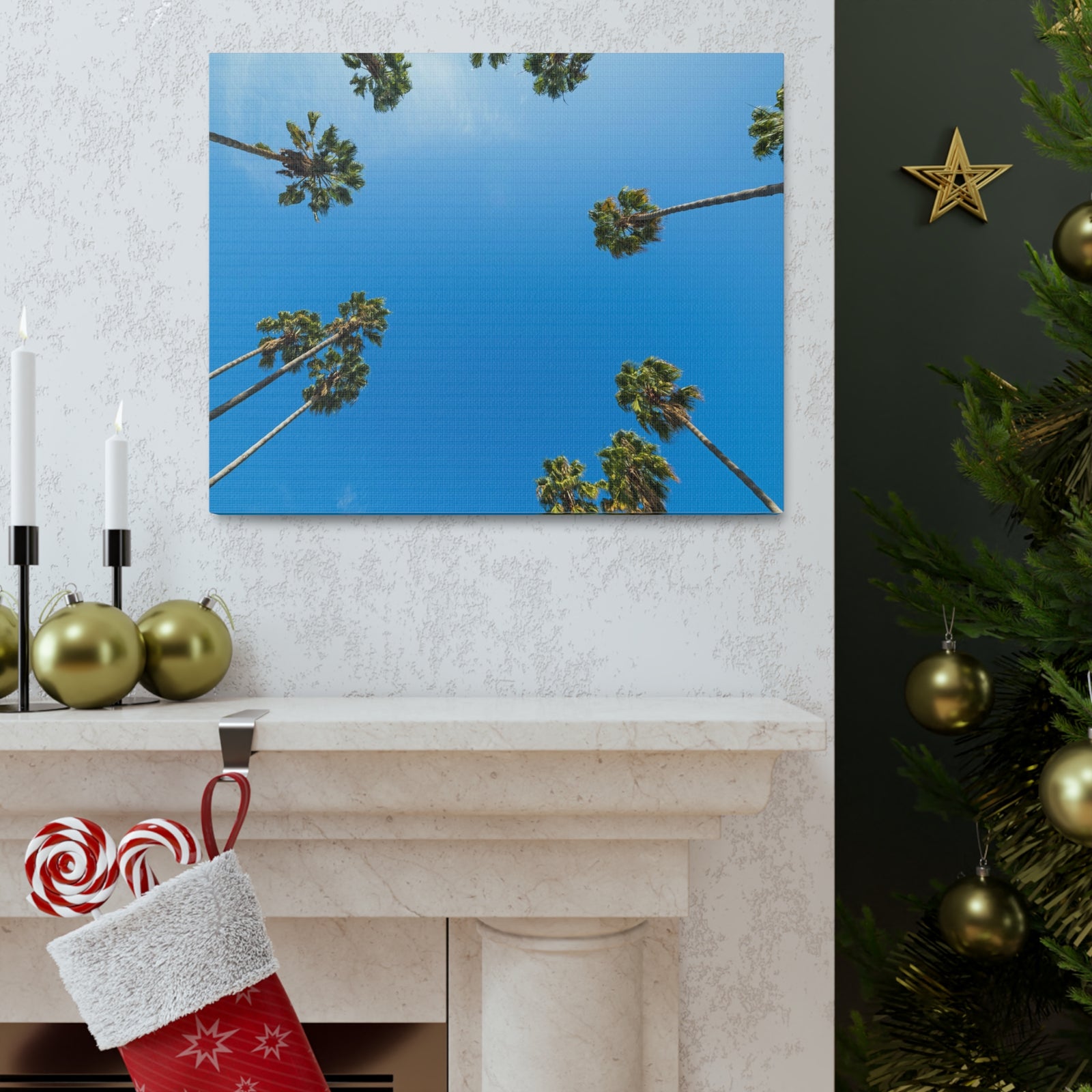 Palm Trees Los Angeles Modern Multicolor Scenic Nature Photography Canvas Home Office Decor Ready to Hang-Express Your Love Gifts