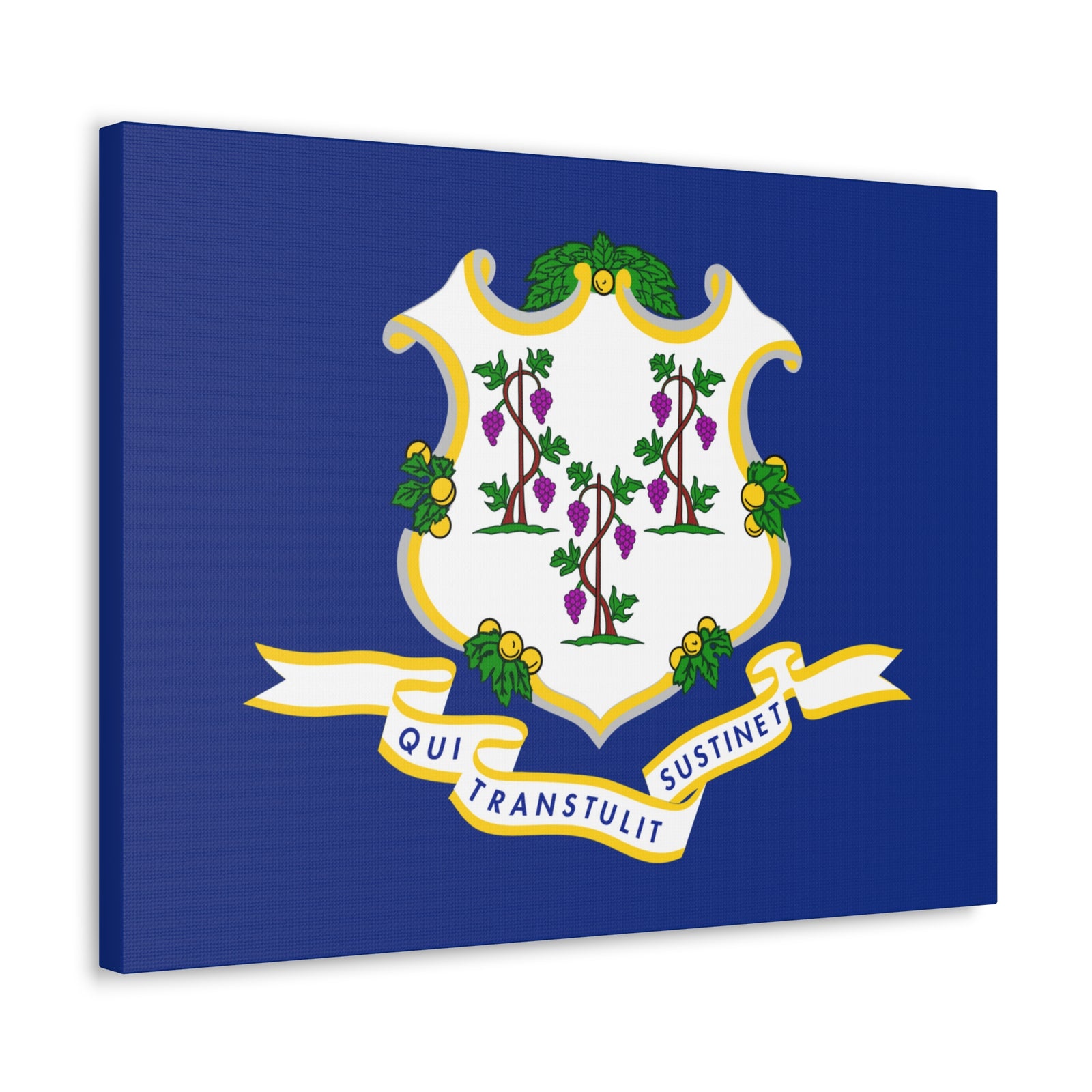 Connecticut State Flag Canvas Vibrant Wall Art Unframed Home Decor-Express Your Love Gifts