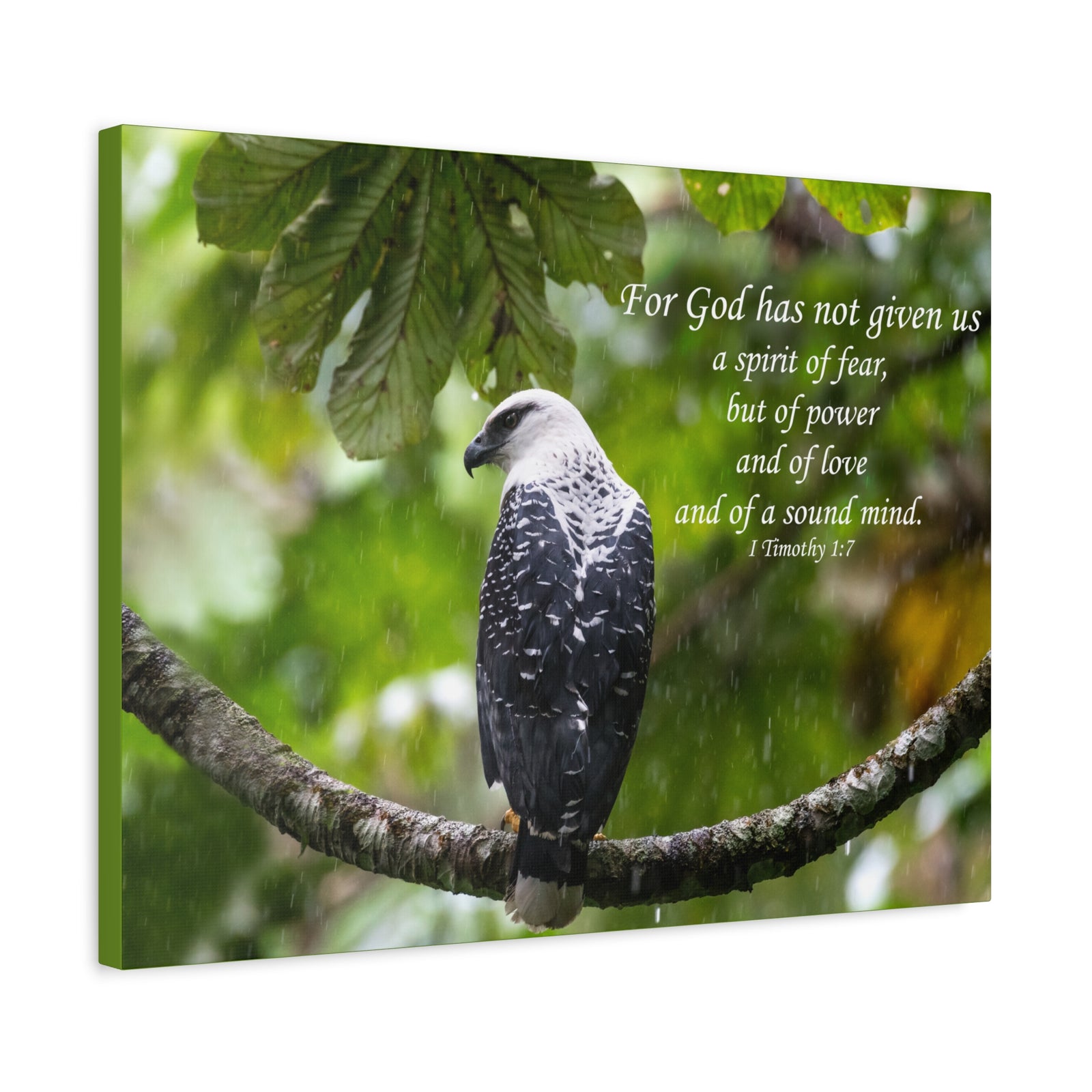 Scripture Canvas A Sound Mind 1 Timothy 1:7 Christian Wall Art Bible Verse Print Ready to Hang-Express Your Love Gifts