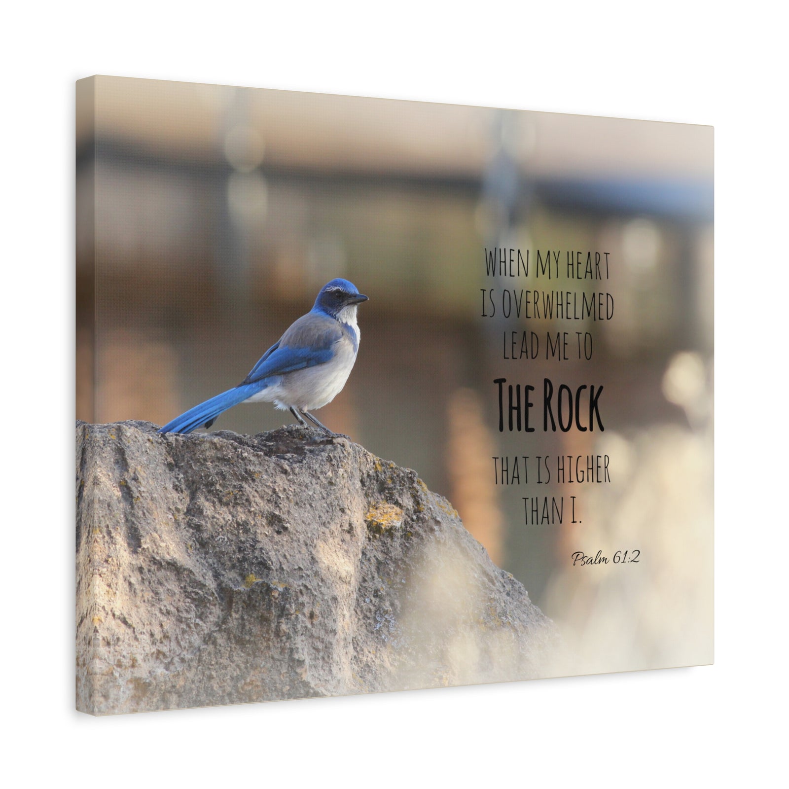 Scripture Canvas Higher Than I Psalm 61:2 Christian Wall Art Bible Verse Print Ready to Hang-Express Your Love Gifts