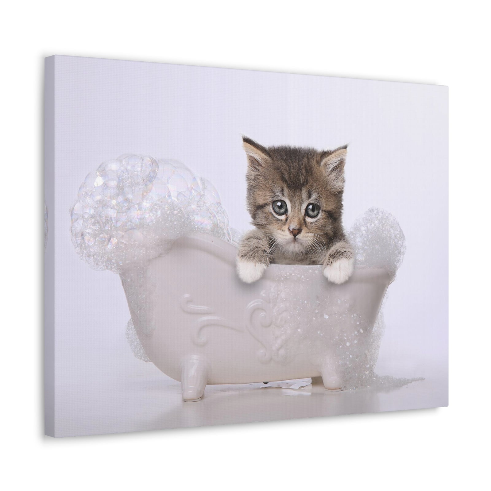 Cute Main Coon Kitten Bathee Canvas Wall Art for Home Decor Ready-to-Hang-Express Your Love Gifts