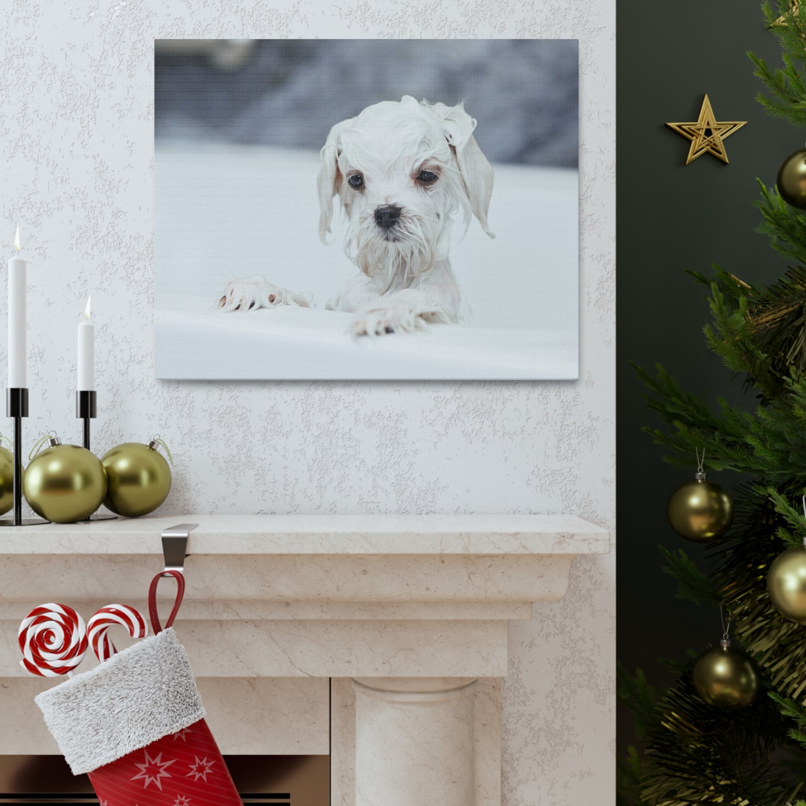 Cute White Maltese Bath Canvas Wall Art for Home Decor Ready-to-Hang-Express Your Love Gifts