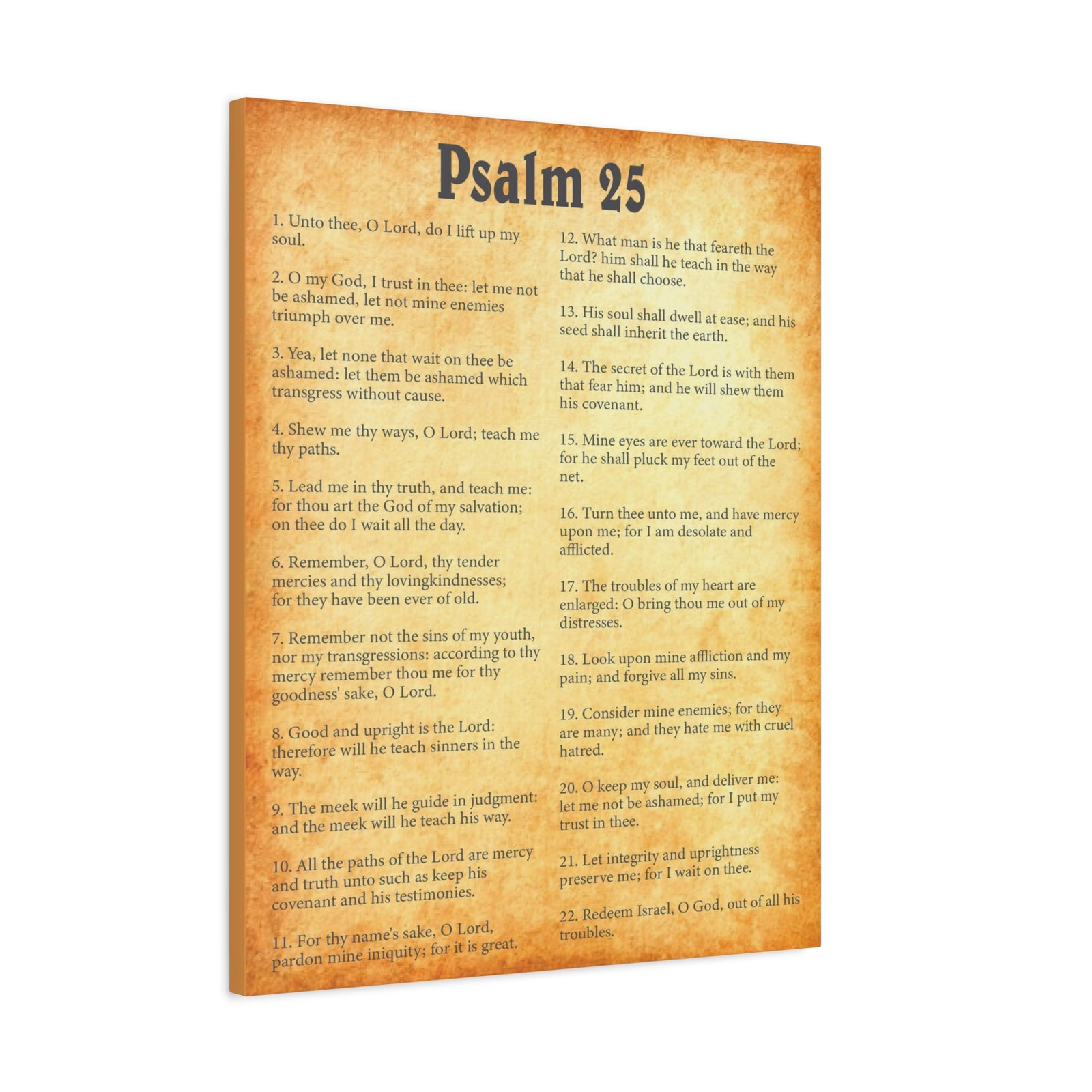 Scripture Walls Psalm 25 Gold Bible Chapter Canvas Christian Wall Art Ready to Hang-Express Your Love Gifts