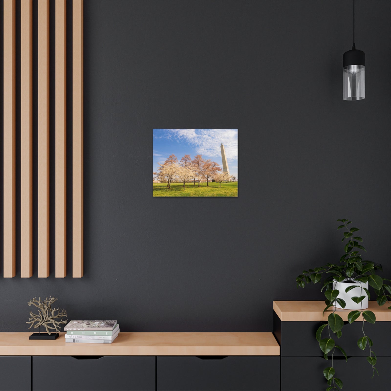Pink Tree Cherry Blossom Festival at The National Mall Washington Modern Multicolor Scenic Nature Photography Canvas Home Office Decor Ready to Hang-Express Your Love Gifts