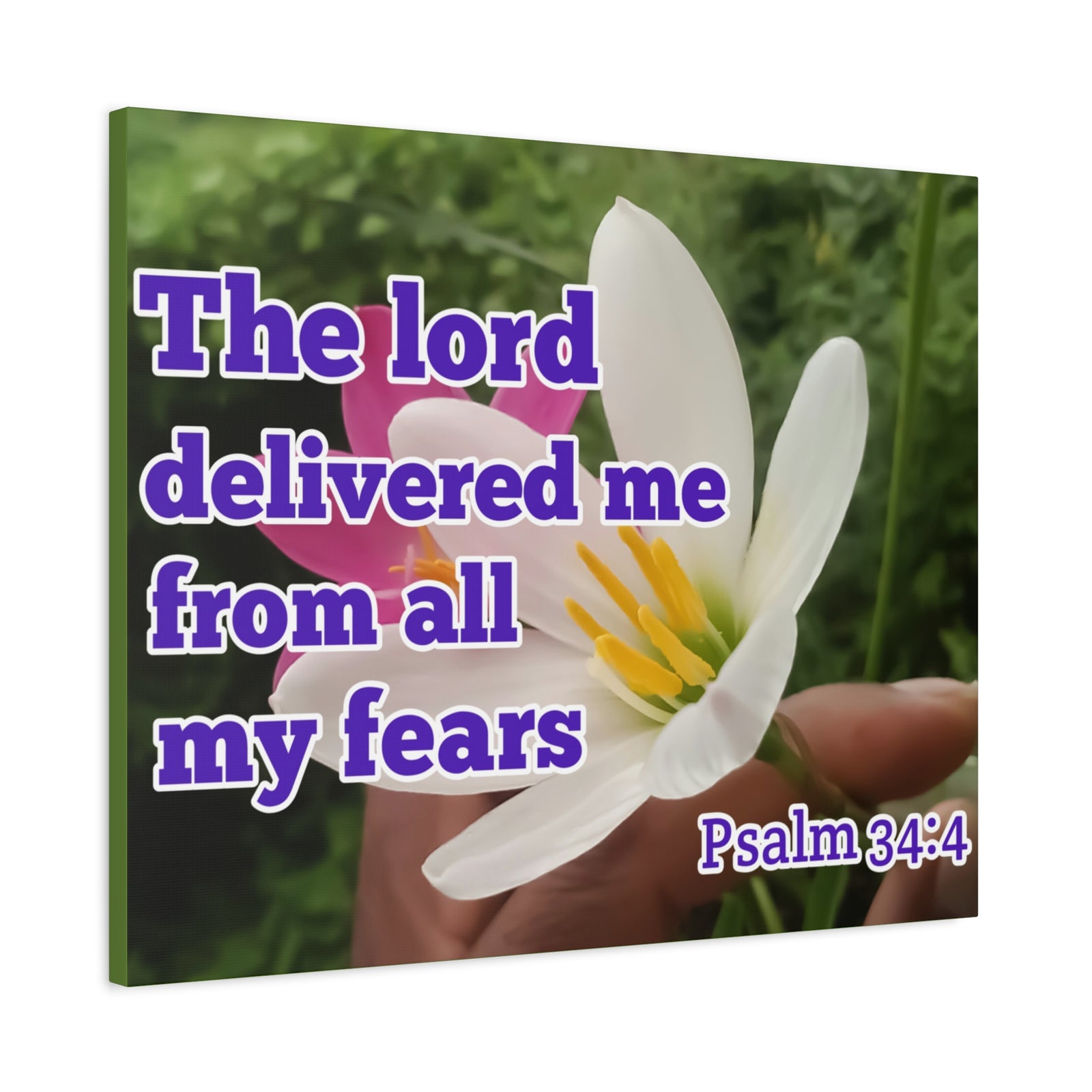 Scripture Walls The Lord Delivered Me Psalm 34:4 Bible Verse Canvas Christian Wall Art Ready to Hang-Express Your Love Gifts