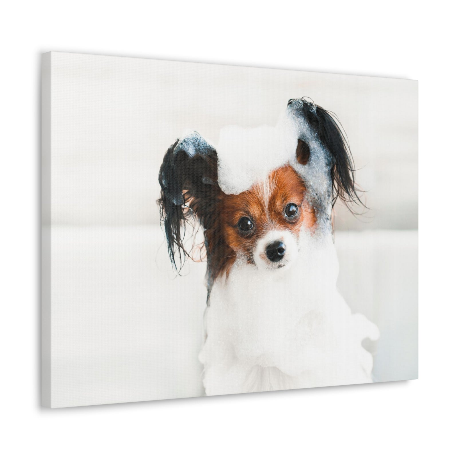 Cute Papillon Bath Canvas Wall Art for Home Decor Ready-to-Hang-Express Your Love Gifts