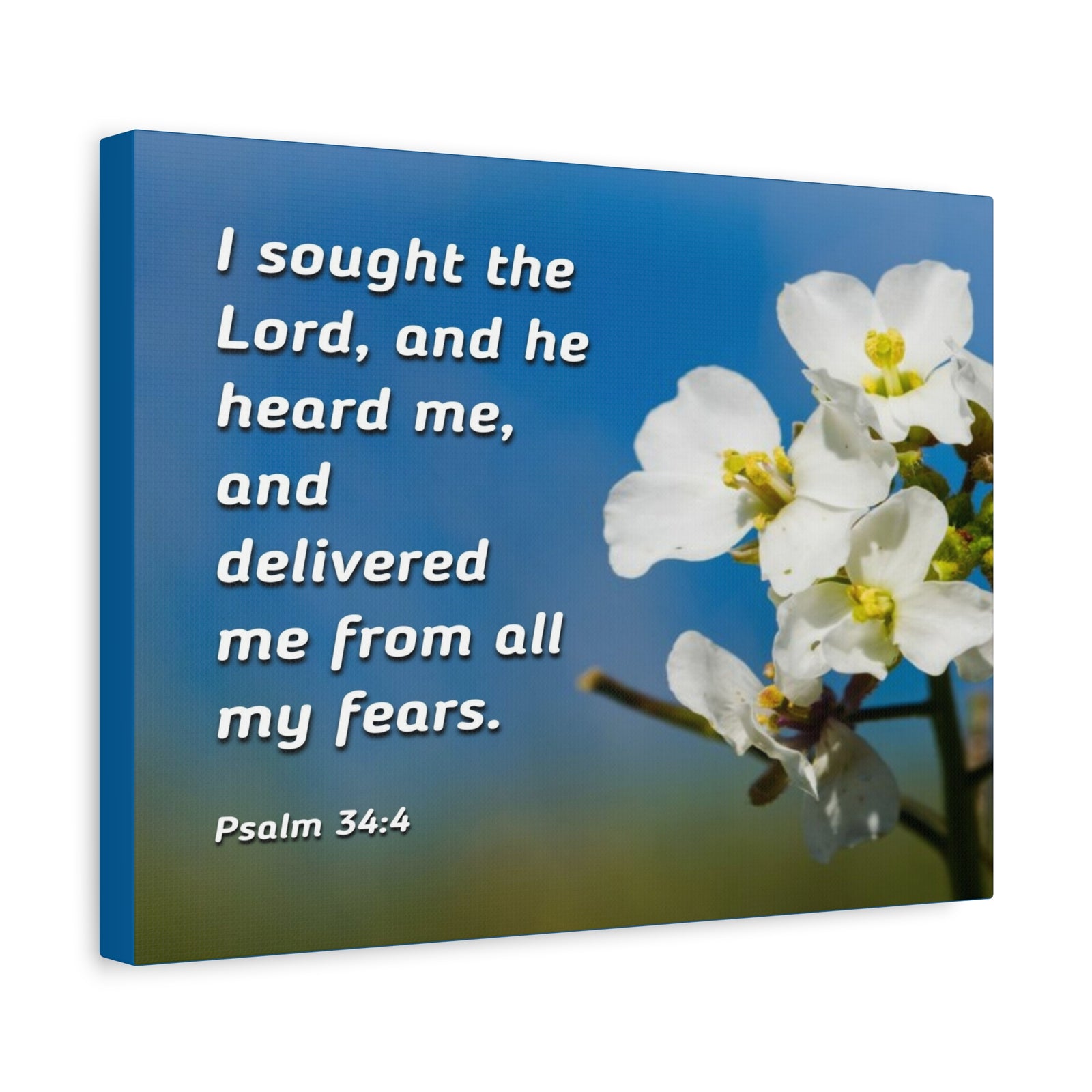 Scripture Canvas He Heard Me Psalm 34:4 Christian Wall Art Bible Verse Print Ready to Hang-Express Your Love Gifts