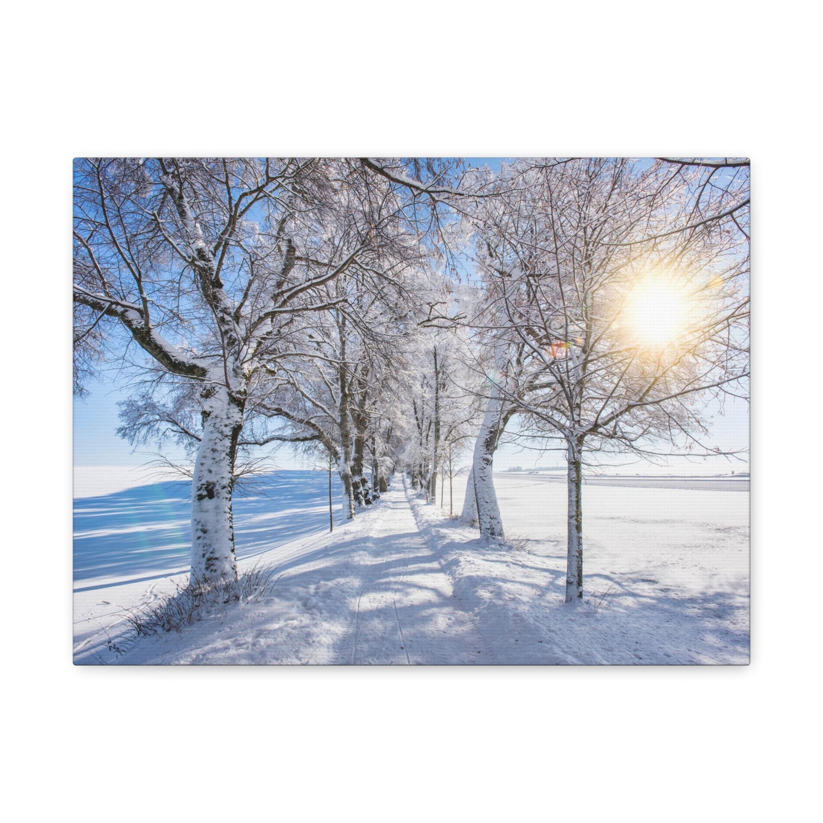 Small Footpath In Winter Through Trees Canvas Wall Art for Home Decor Ready-to-Hang-Express Your Love Gifts