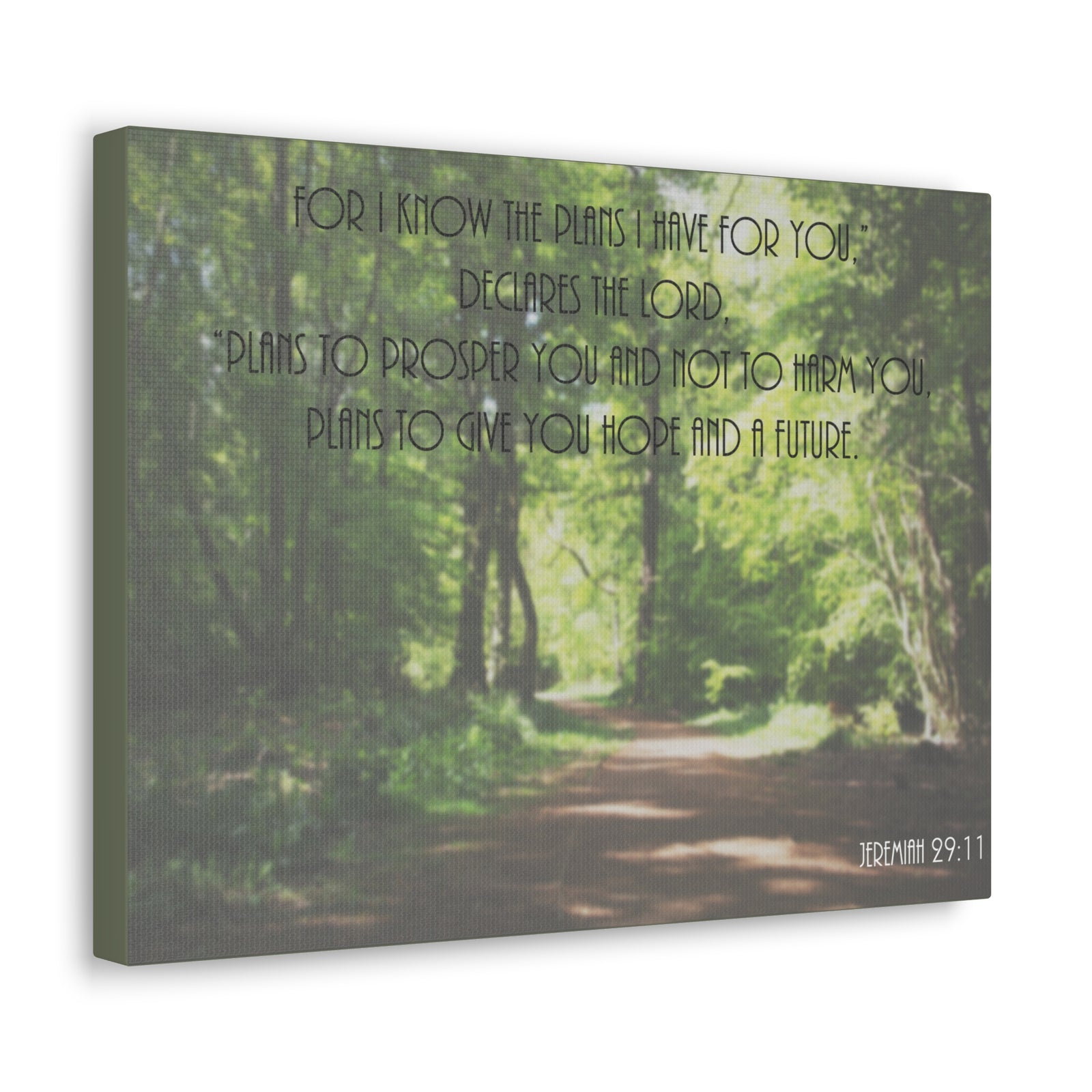 Scripture Canvas To Prosper Jeremiah 29:11 Christian Wall Art Bible Verse Print Ready to Hang-Express Your Love Gifts