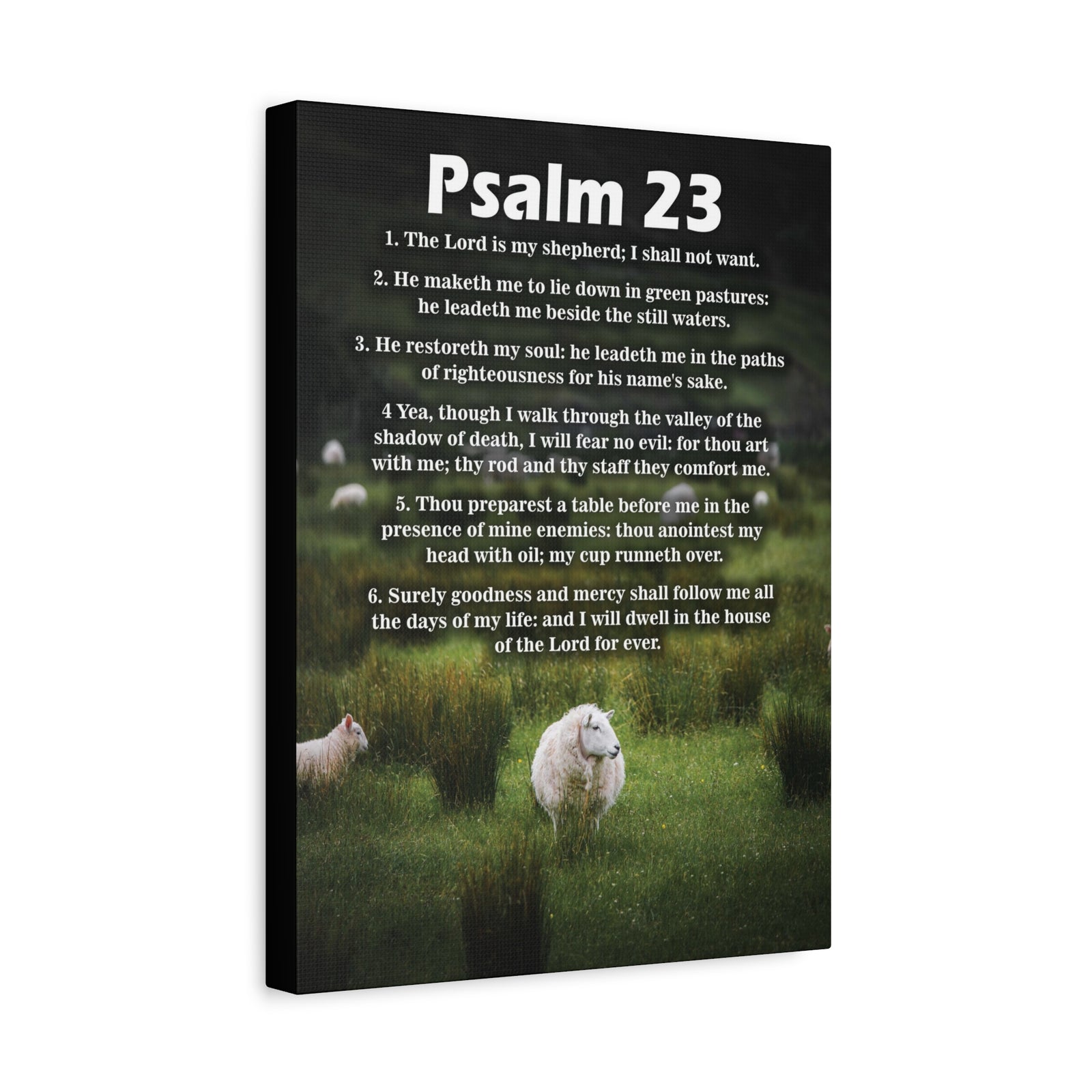 Scripture Walls The Lord is My Shepherd Psalm 23:3 Christian Wall Art Bible Verse Print Ready to Hang-Express Your Love Gifts