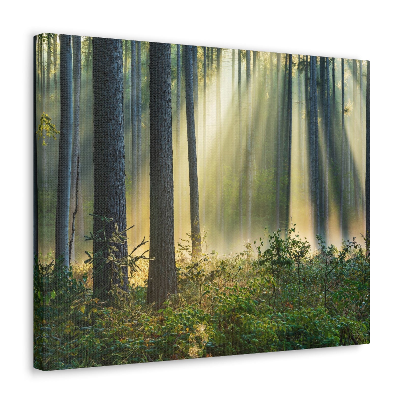 Sunrise Green Forest Nature Wilderness Photography Canvas Wall Art for Home Decor Ready-to-Hang-Express Your Love Gifts