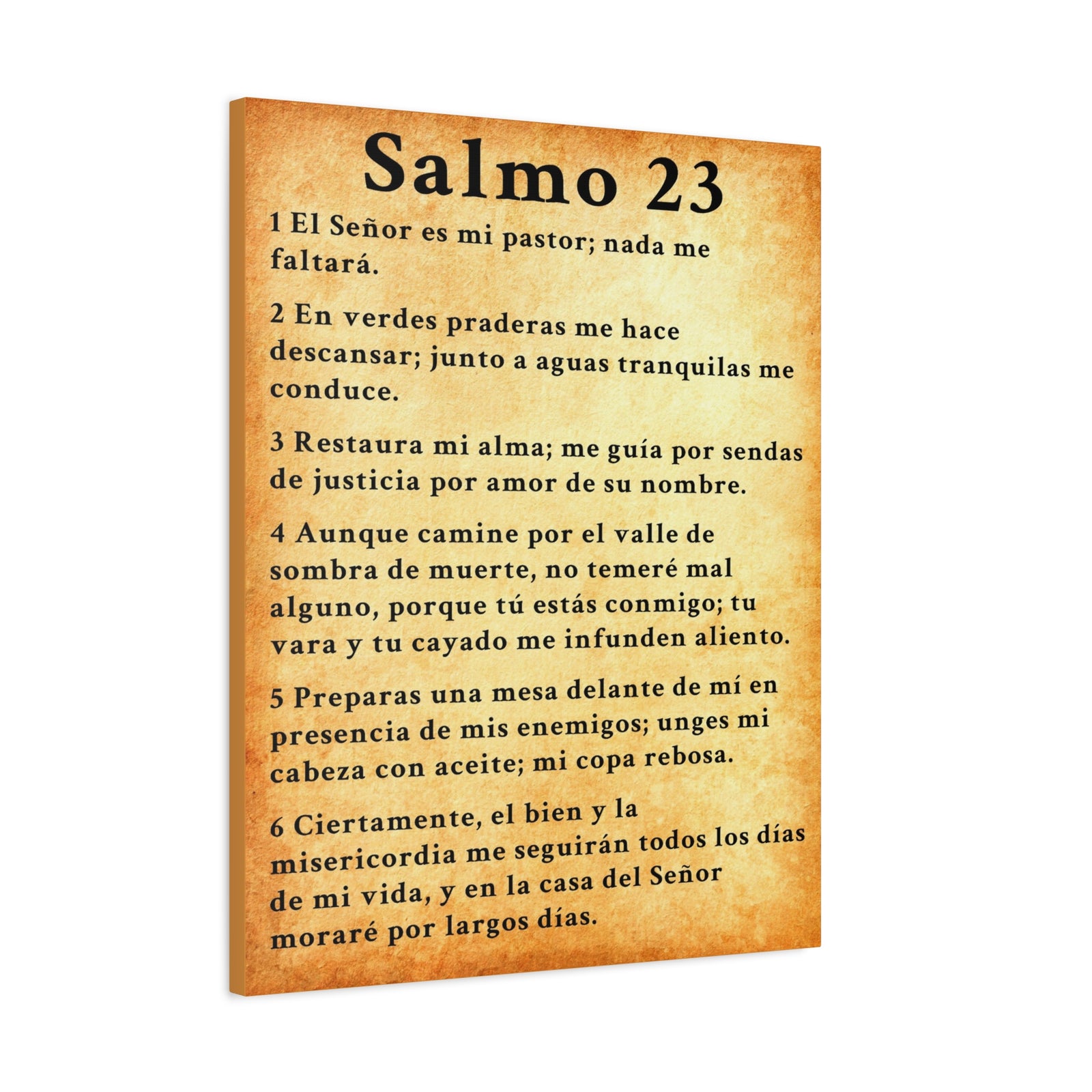 Scripture Walls Salmo 23 Chapter Gold Christian Wall Art Print Ready to Hang Unframed-Express Your Love Gifts