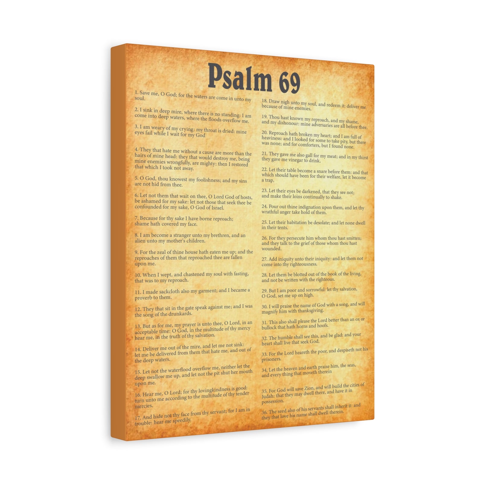 Scripture Walls Psalm 69 Gold Bible Chapter Canvas Christian Wall Art Ready to Hang-Express Your Love Gifts