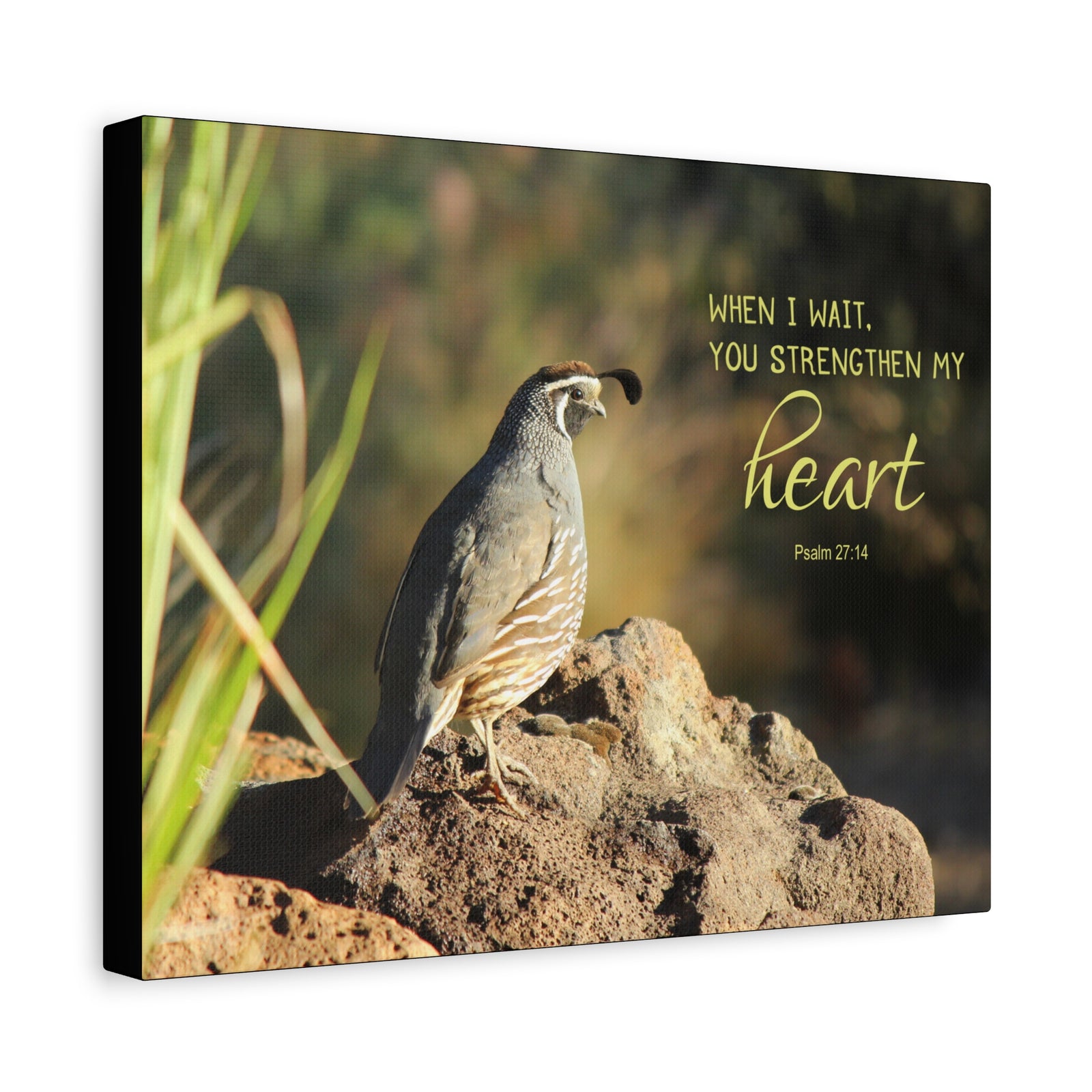 Scripture Canvas Strengthen My Heart Psalm 27:14 Christian Wall Art Bible Verse Print Ready to Hang-Express Your Love Gifts