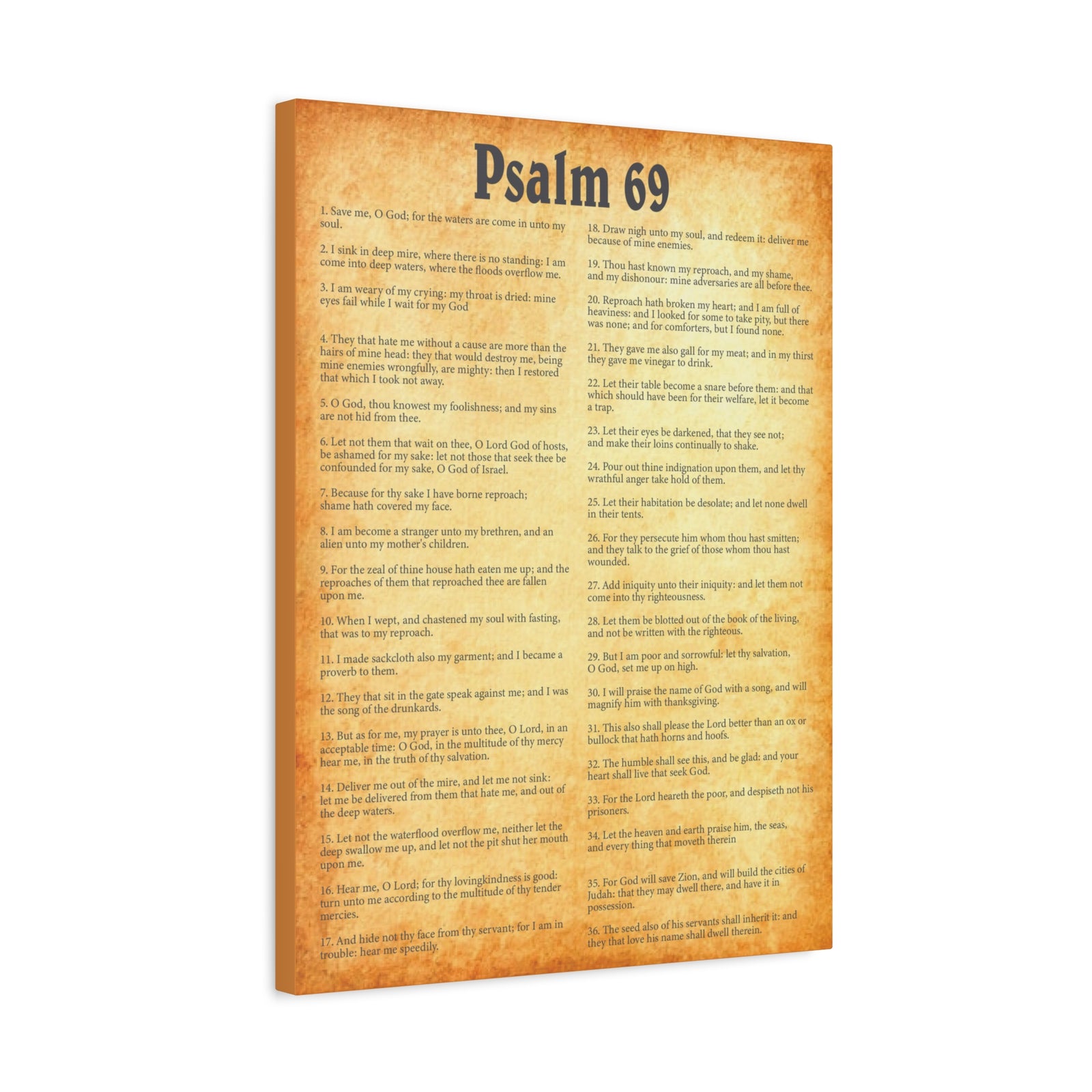 Scripture Walls Psalm 69 Gold Bible Chapter Canvas Christian Wall Art Ready to Hang-Express Your Love Gifts