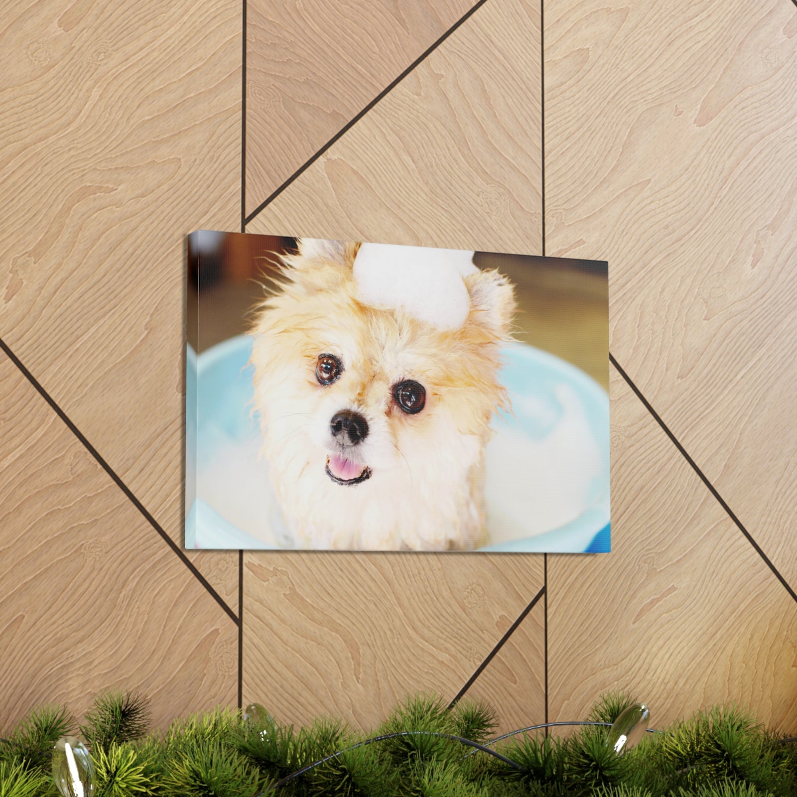 Cute Pomeranian Bathee Canvas Wall Art for Home Decor Ready-to-Hang-Express Your Love Gifts
