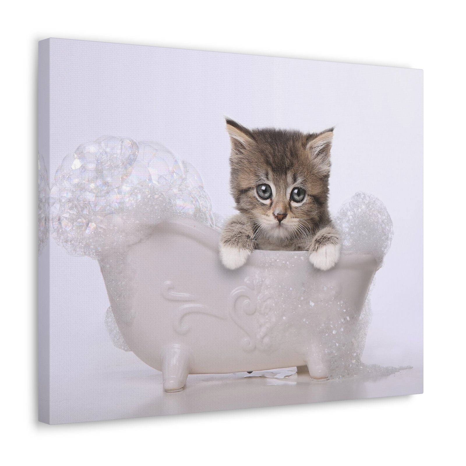 Cute Main Coon Kitten Bathee Canvas Wall Art for Home Decor Ready-to-Hang-Express Your Love Gifts