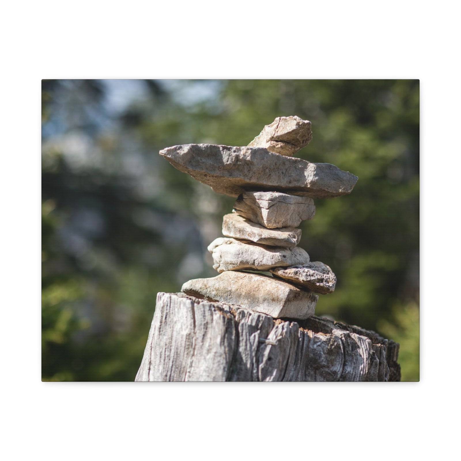 Stones Trail as Marker Forest Floral Nature Photography Canvas Wall Art for Home Decor Ready-to-Hang-Express Your Love Gifts