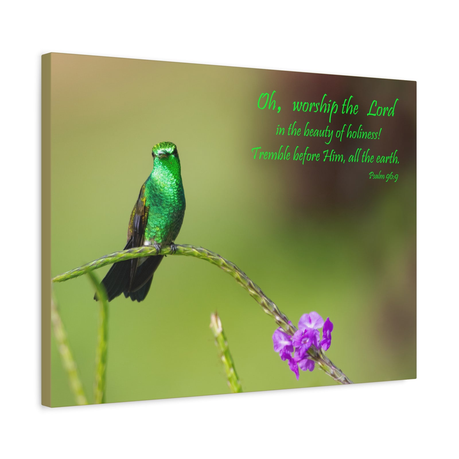 Scripture Walls Worship The Lord Psalm 96:9 Bible Verse Canvas Christian Wall Art Ready to Hang-Express Your Love Gifts